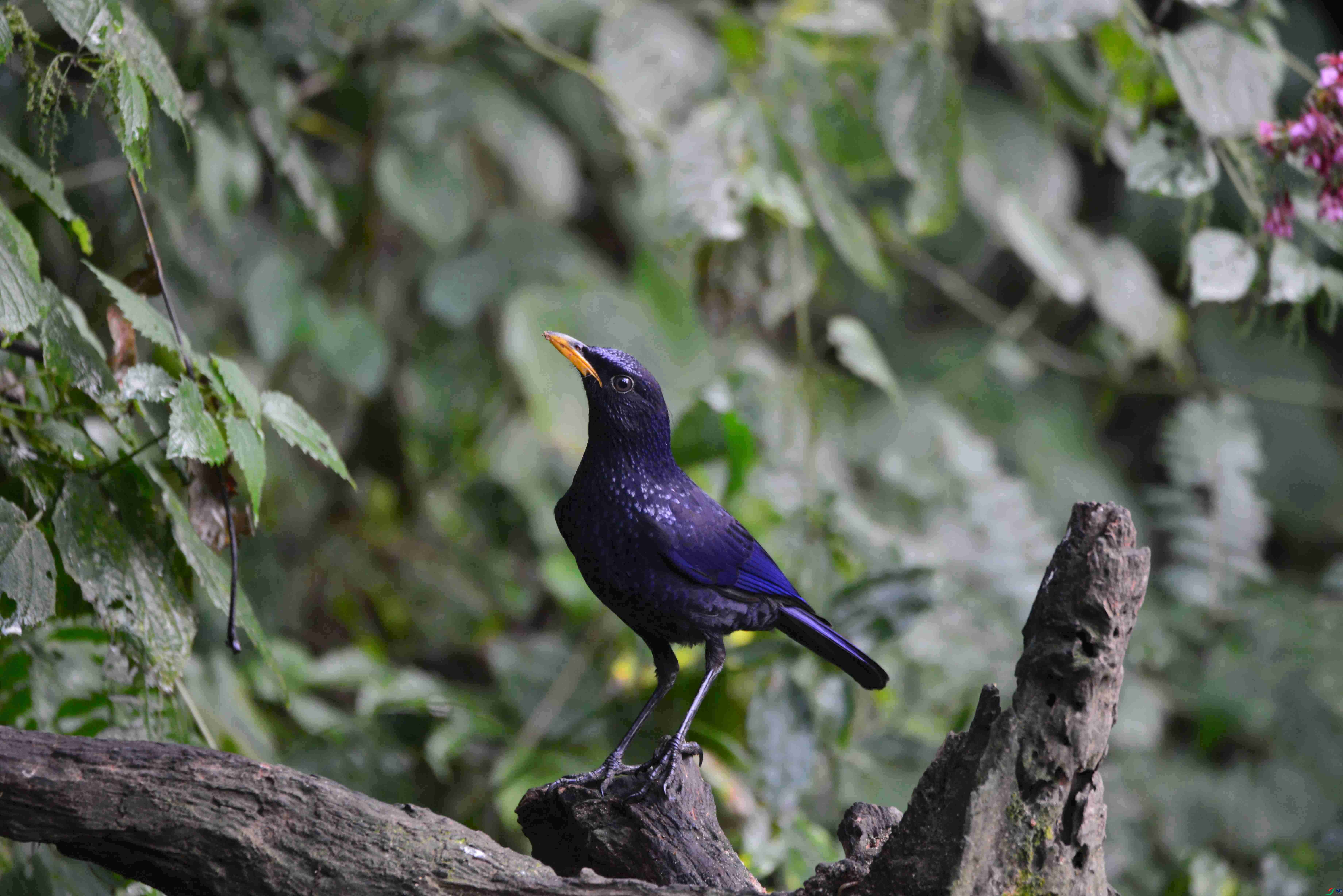 DSC_8819.JPG