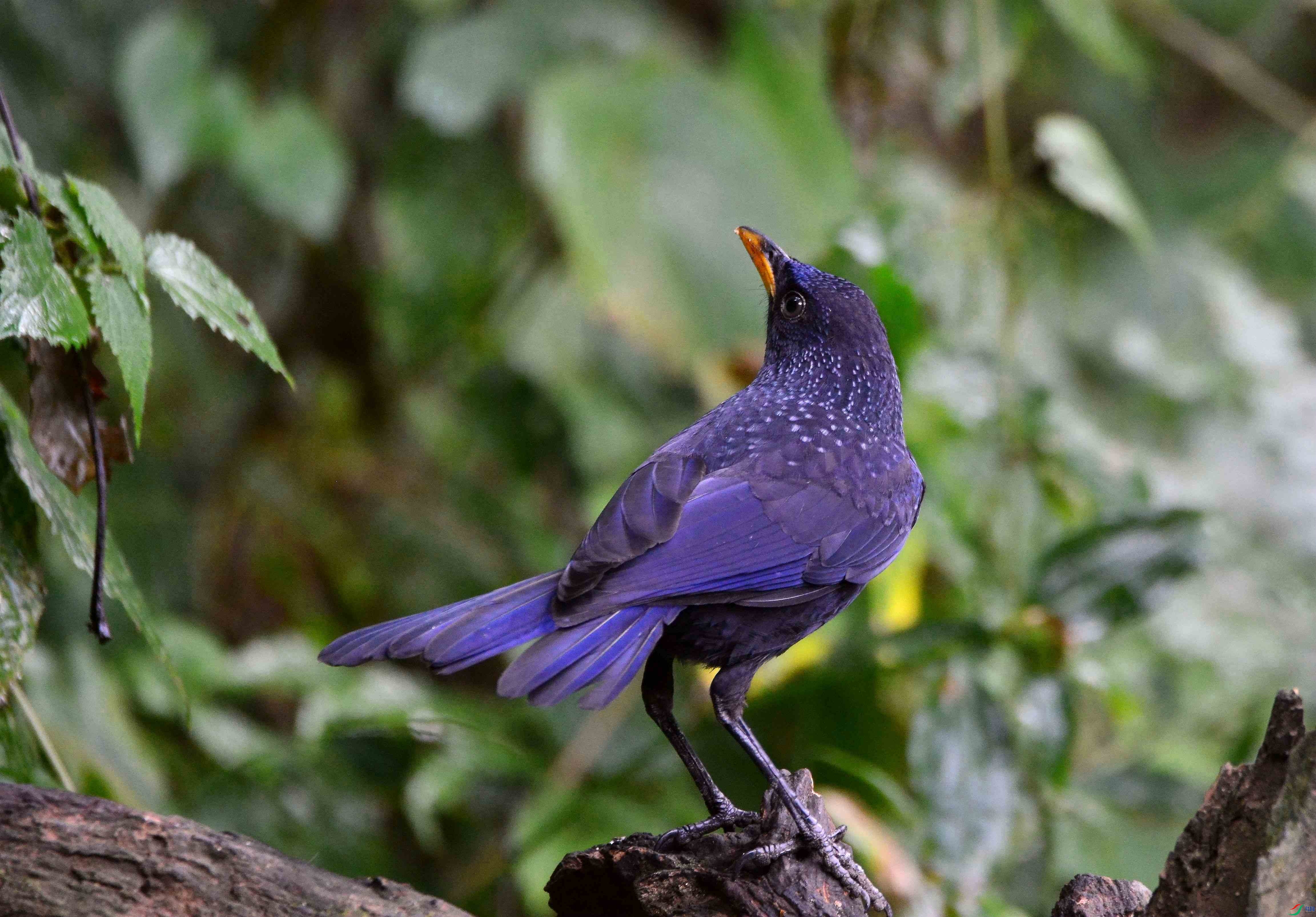 DSC_8802.JPG