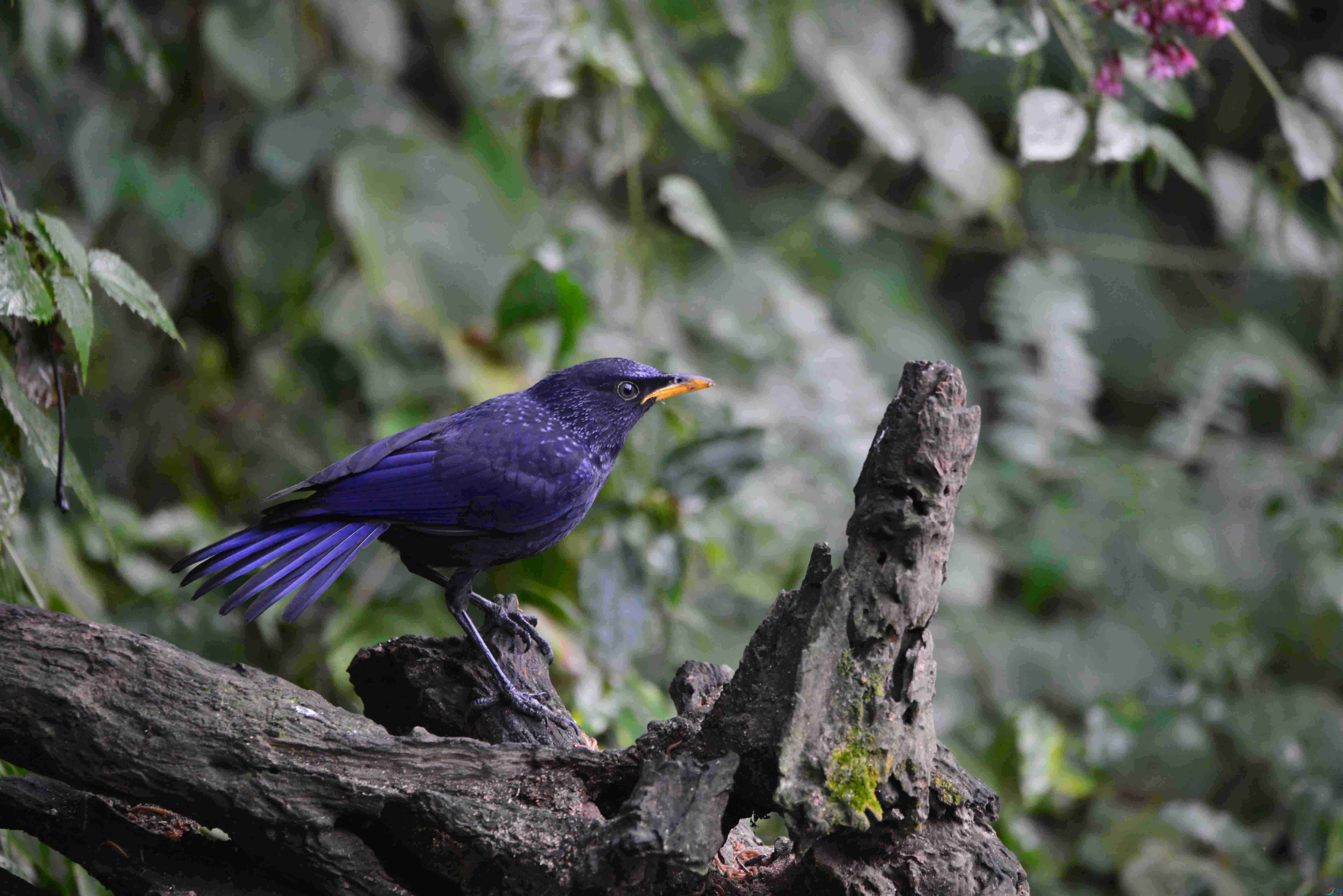 DSC_8812.JPG