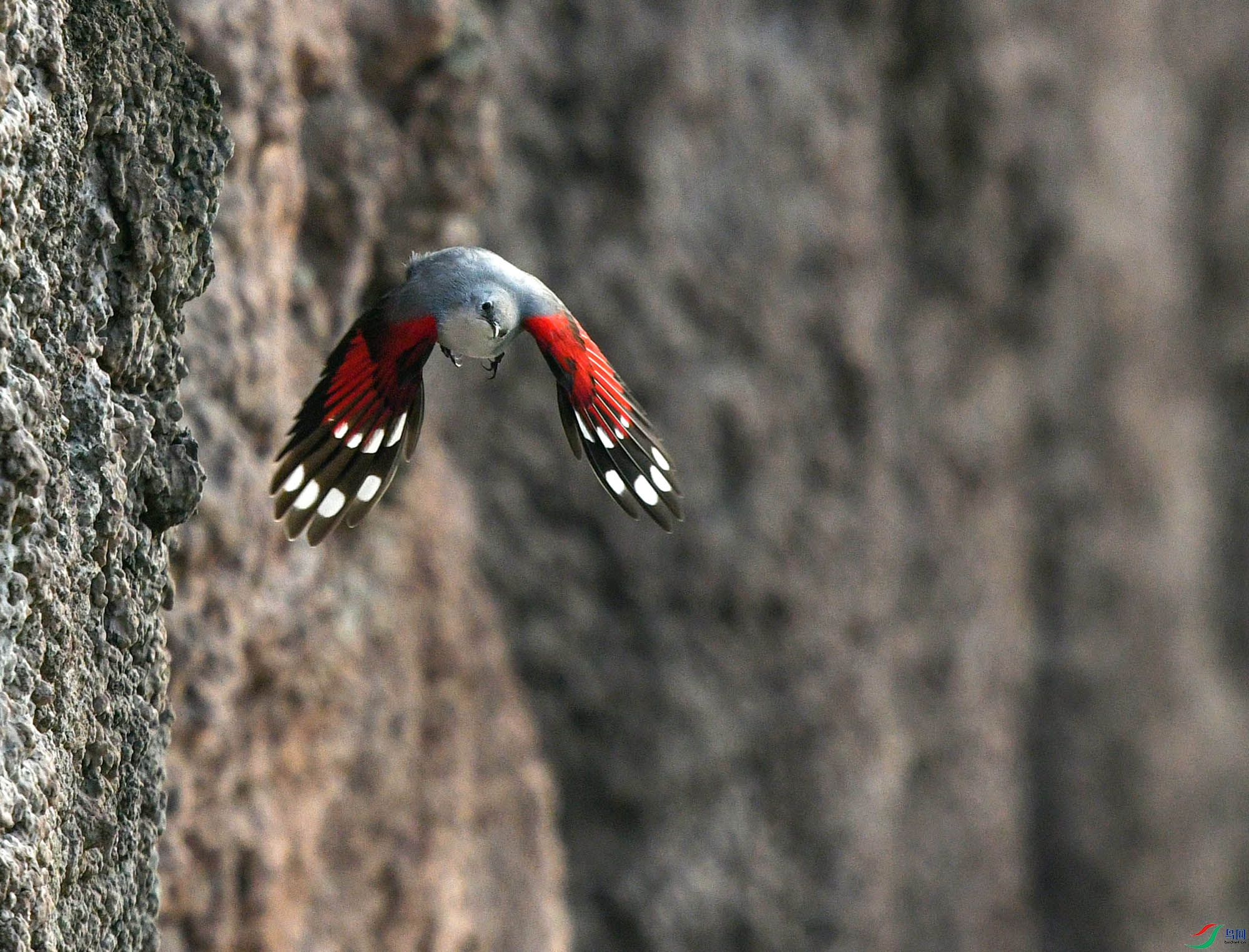 DSC_1383.JPG