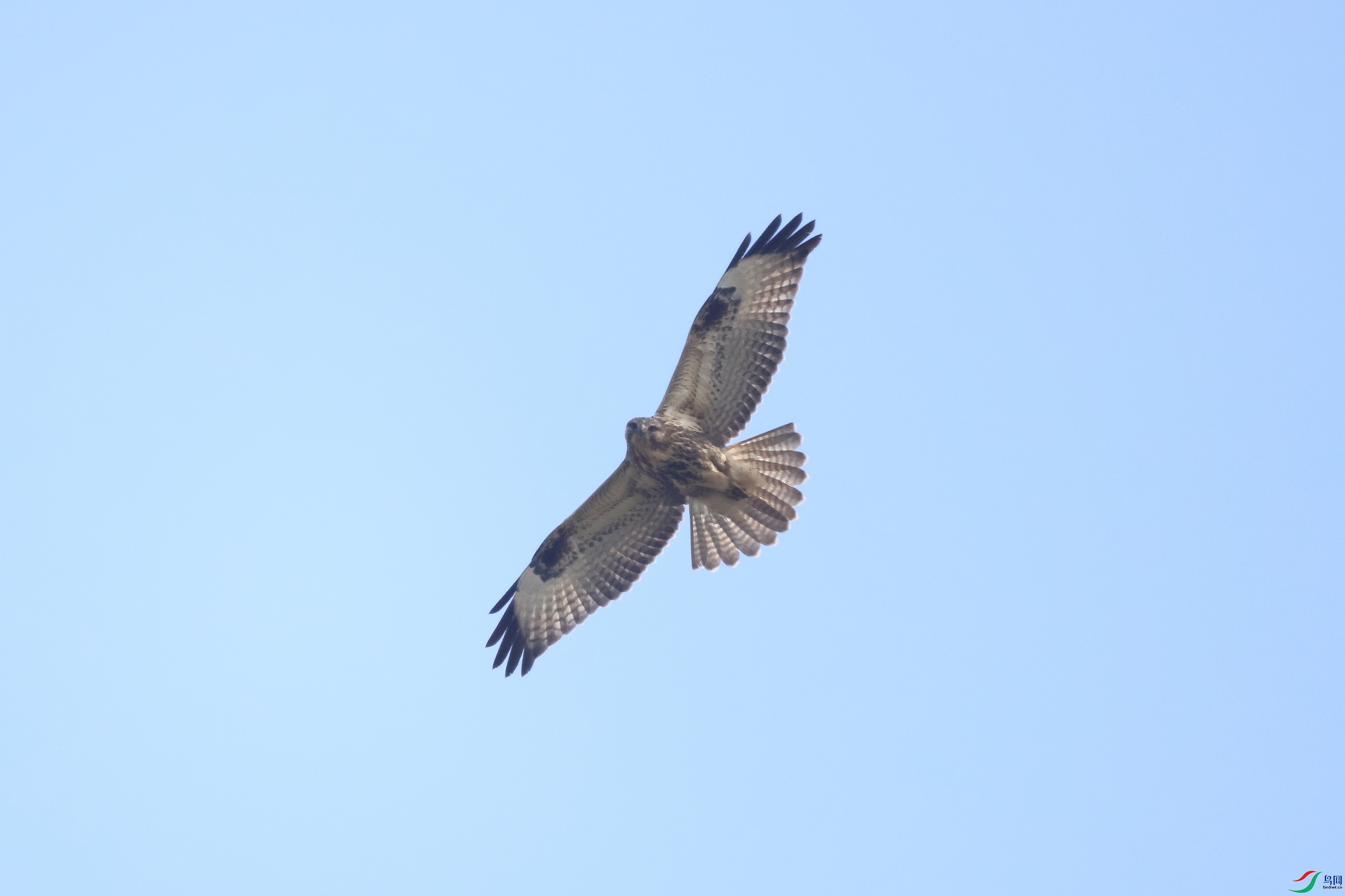 IMG_7122.JPG