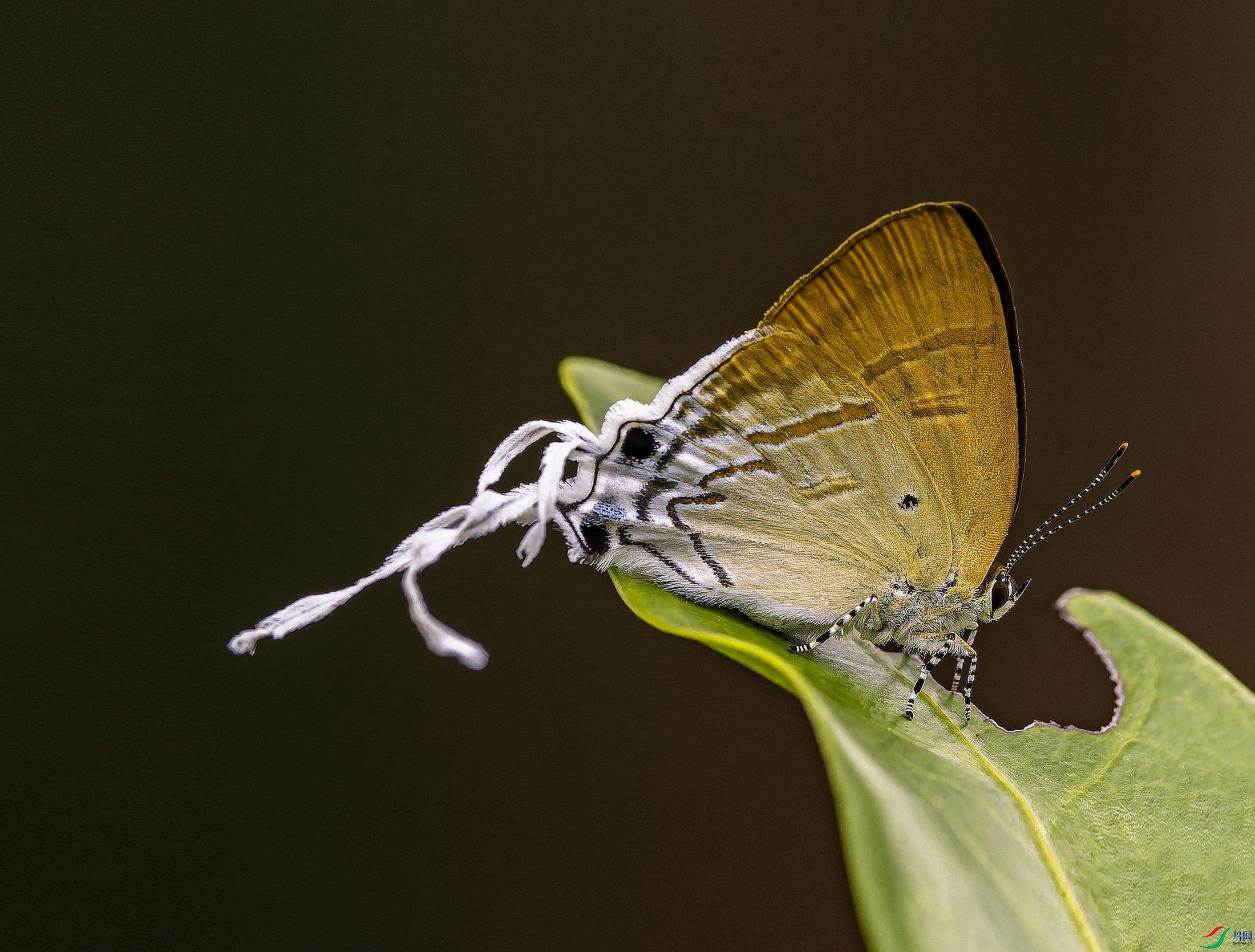 ��ҵ� (9)-1.jpg