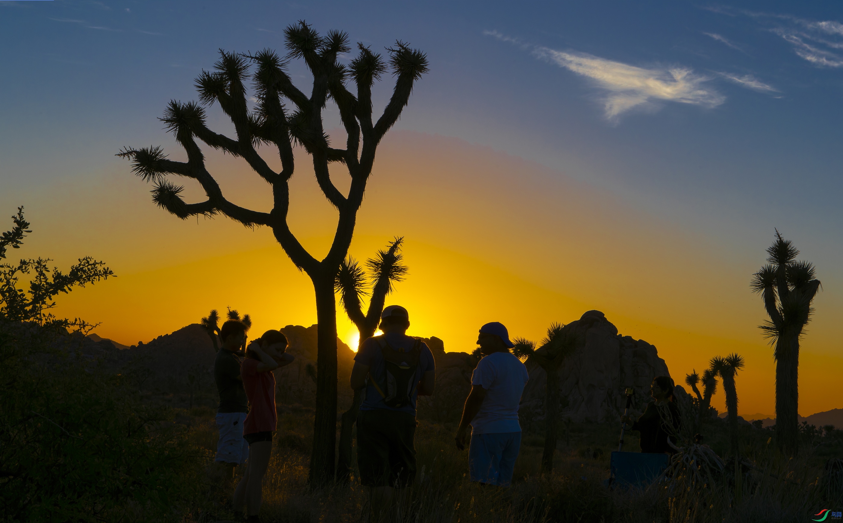 �������� (4)-1.jpg