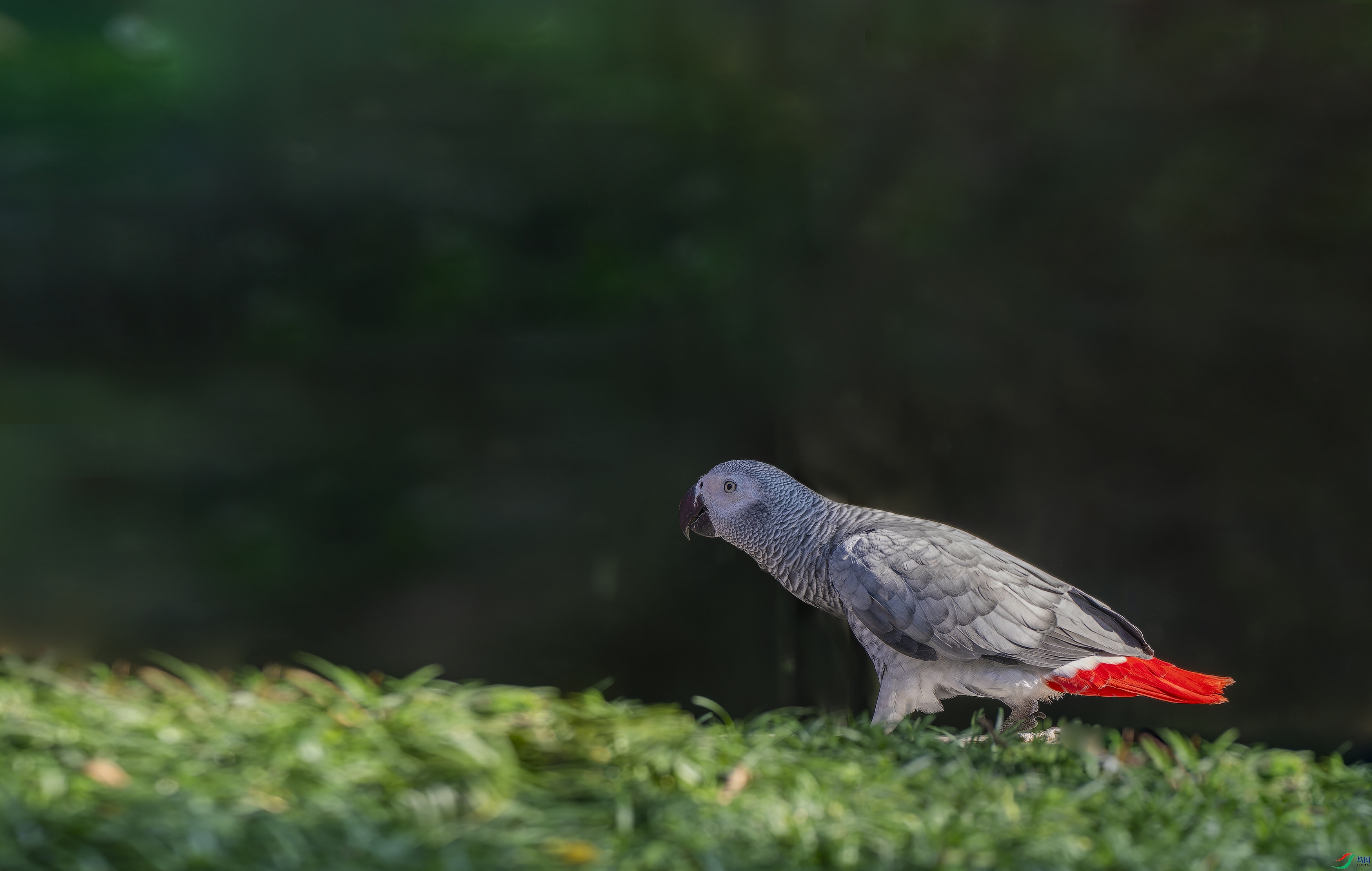 ���޻����� (27)-1.jpg