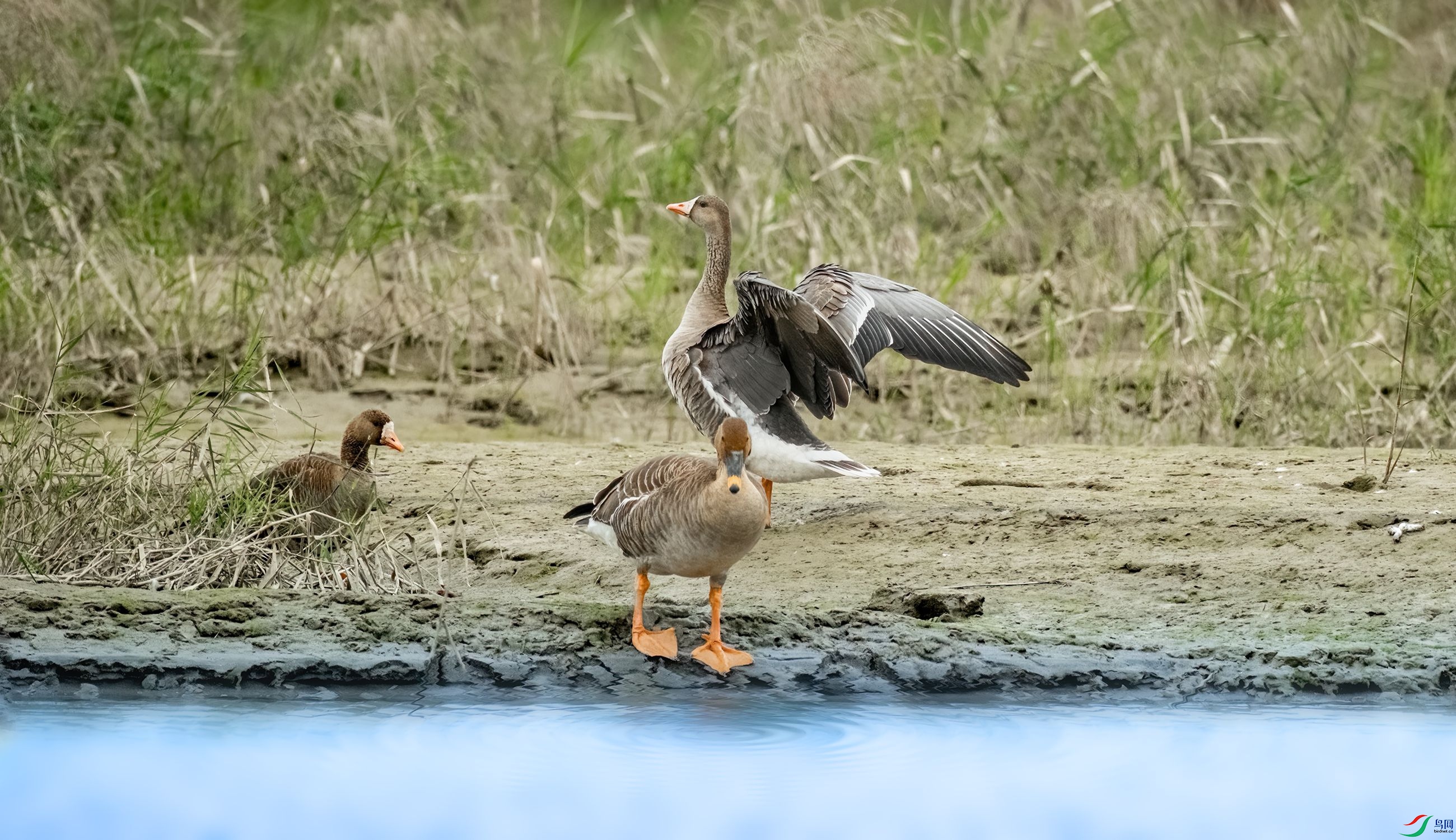 �׶�����С�׶���