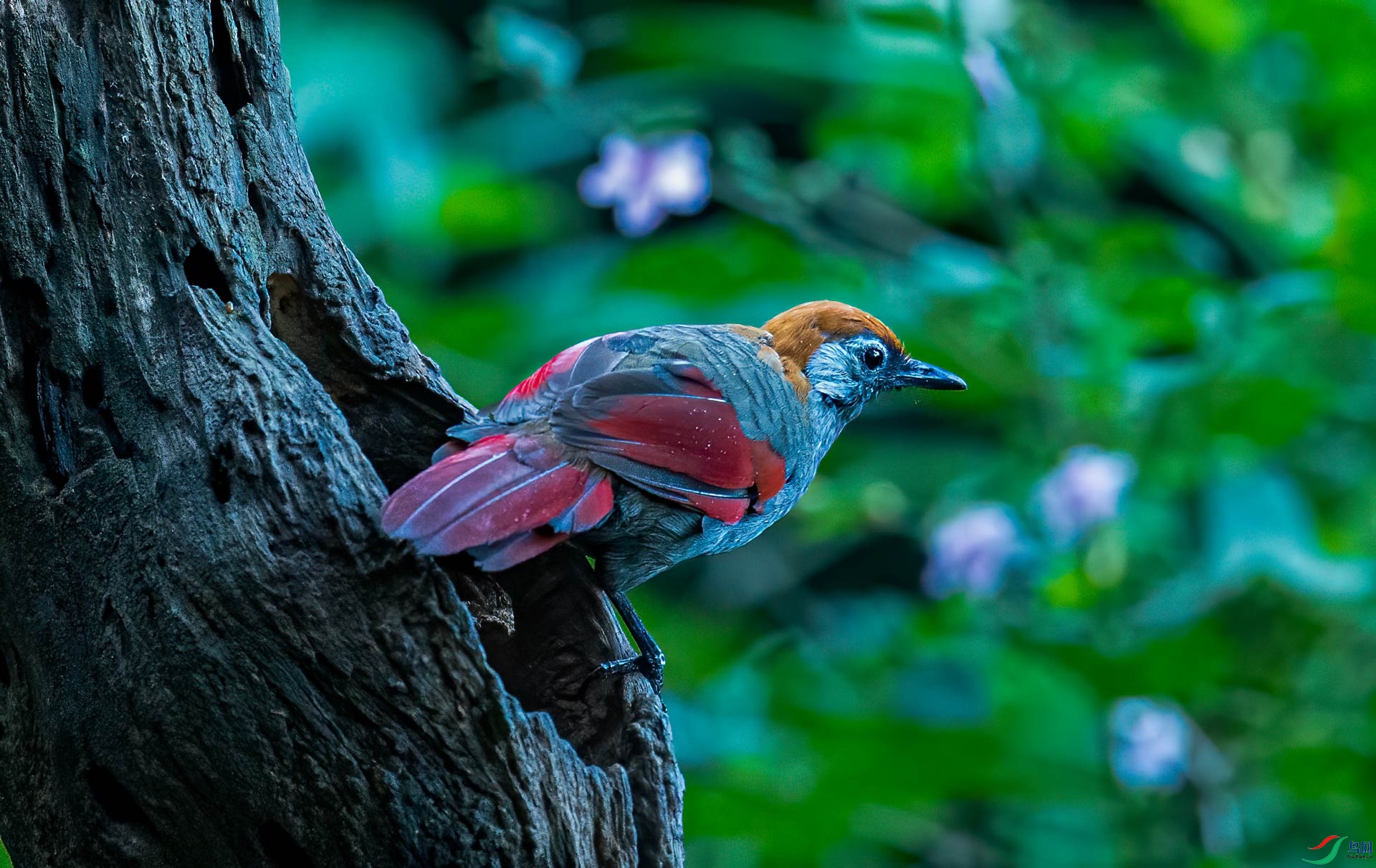 DSC_7748.jpg