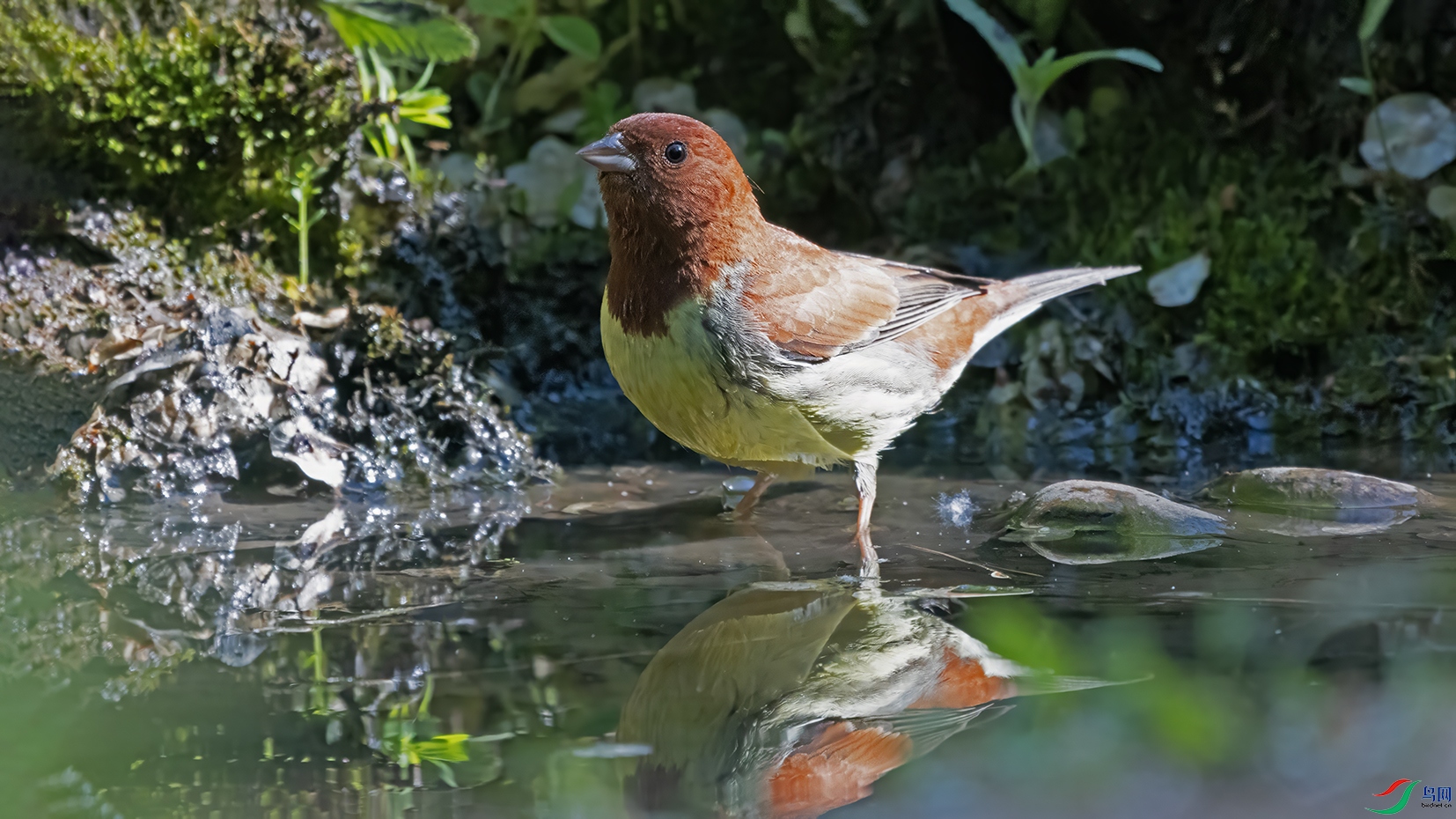 3U2A0831 ���� 2.jpg