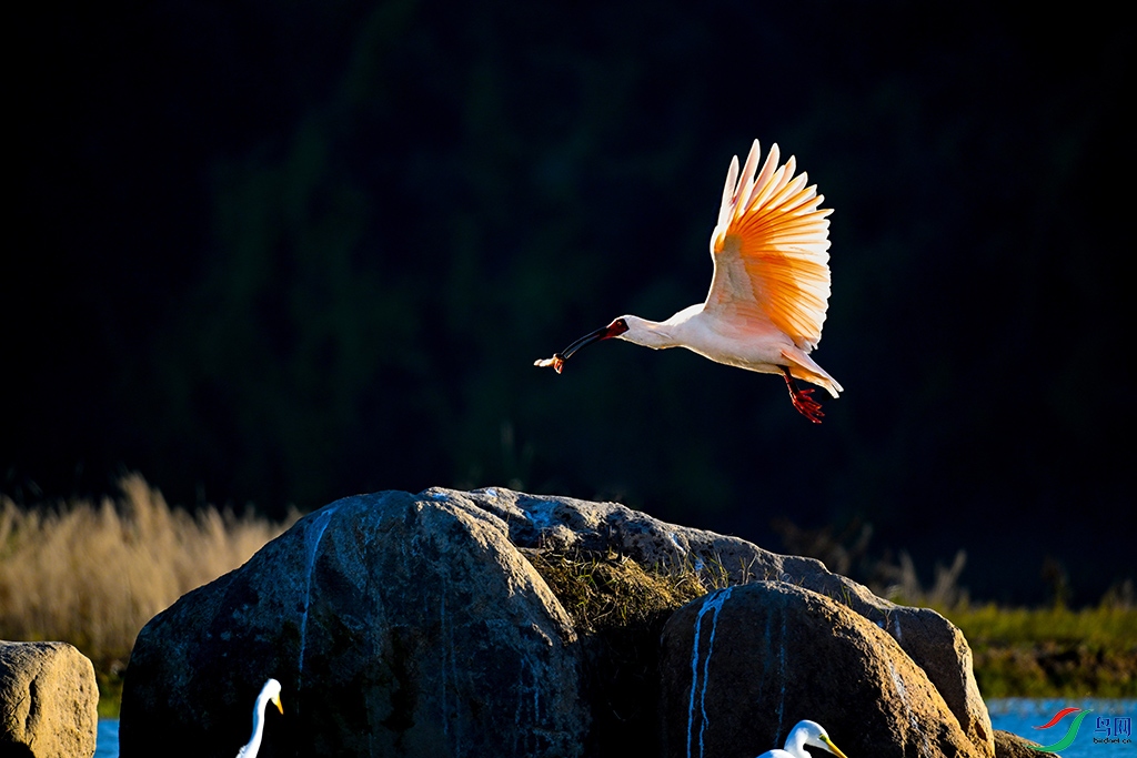 DSC_4892S.jpg