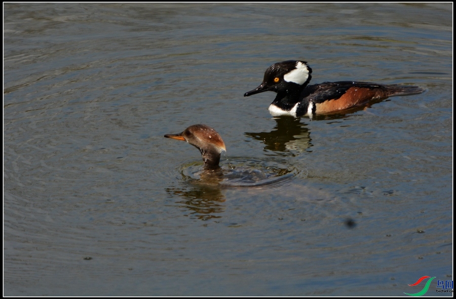 DSC_2834.jpg