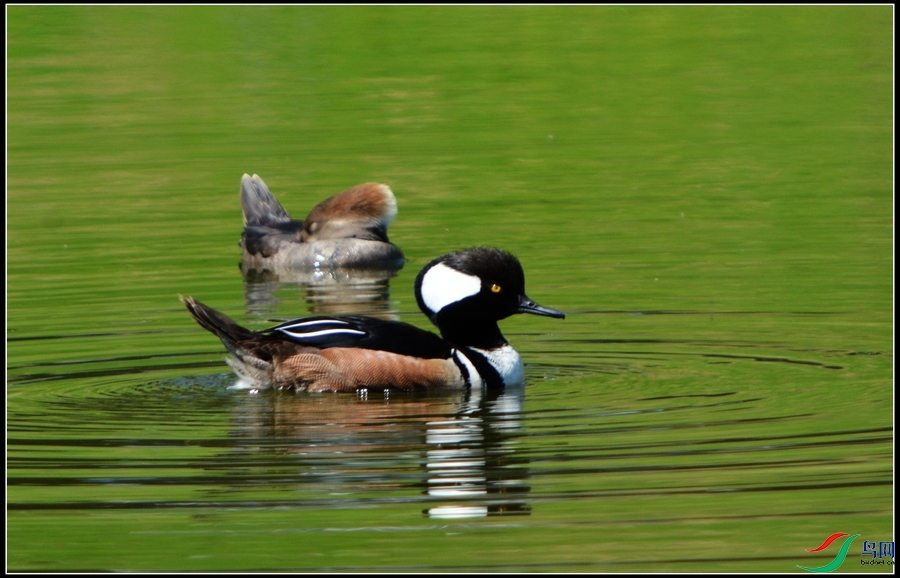 DSC_2846.jpg