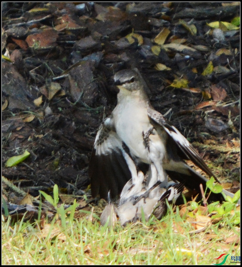 DSC_3931.jpg