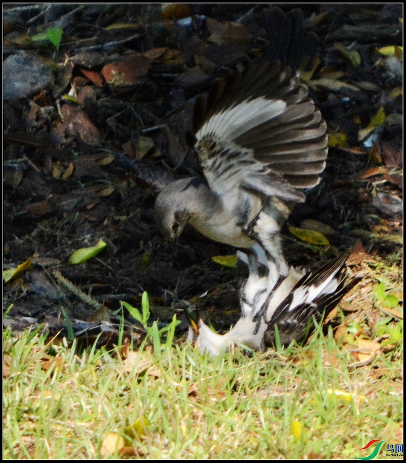DSC_3933.jpg