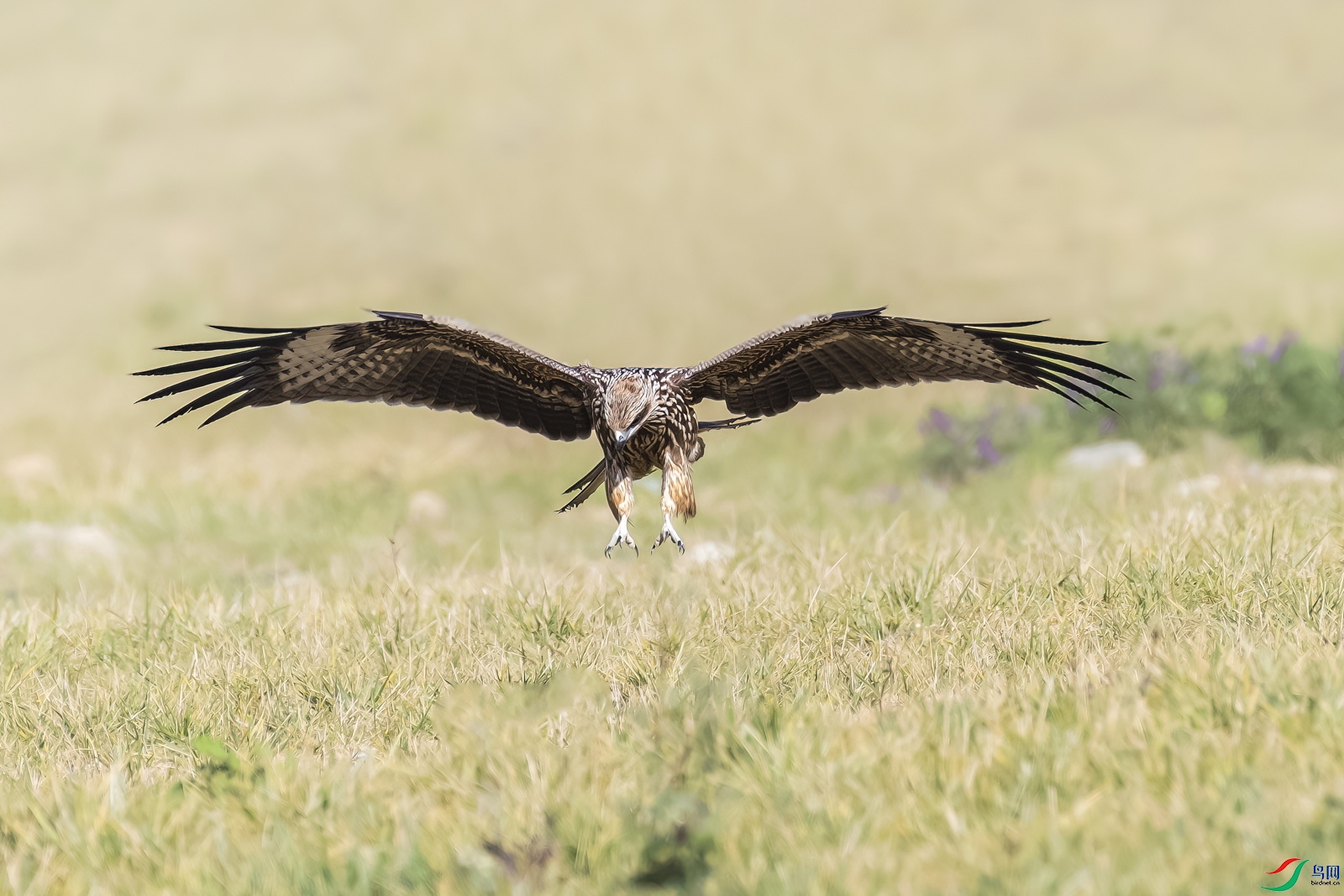 DSC_7706-�ڶ��.jpg
