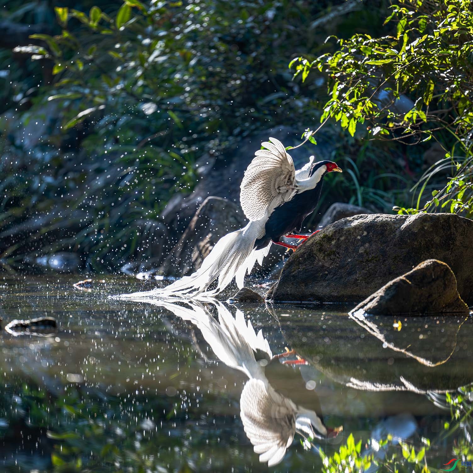 DSC_0048-����ǿ-NR ���� 3.jpg