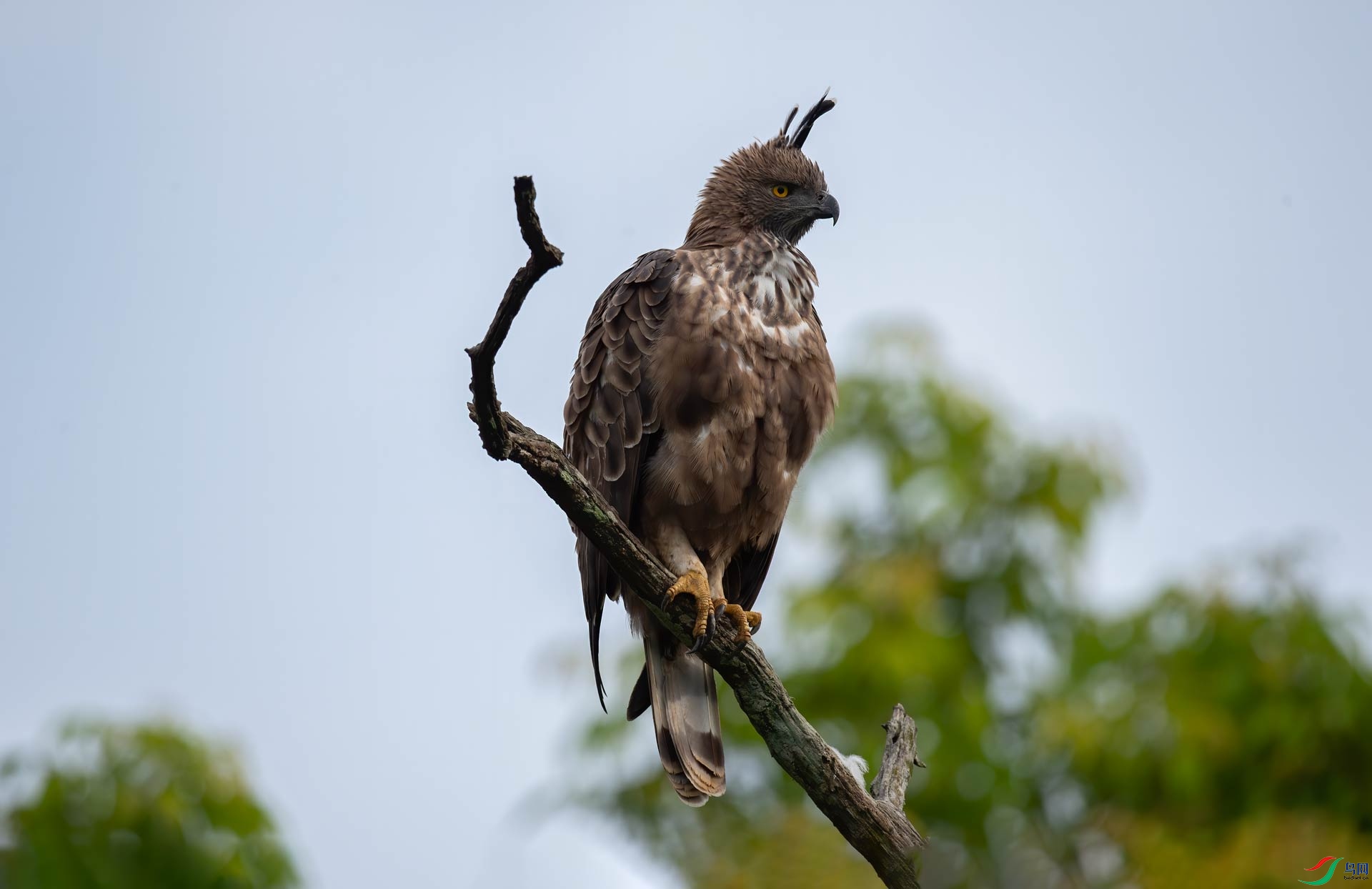 DSC_7133.jpg