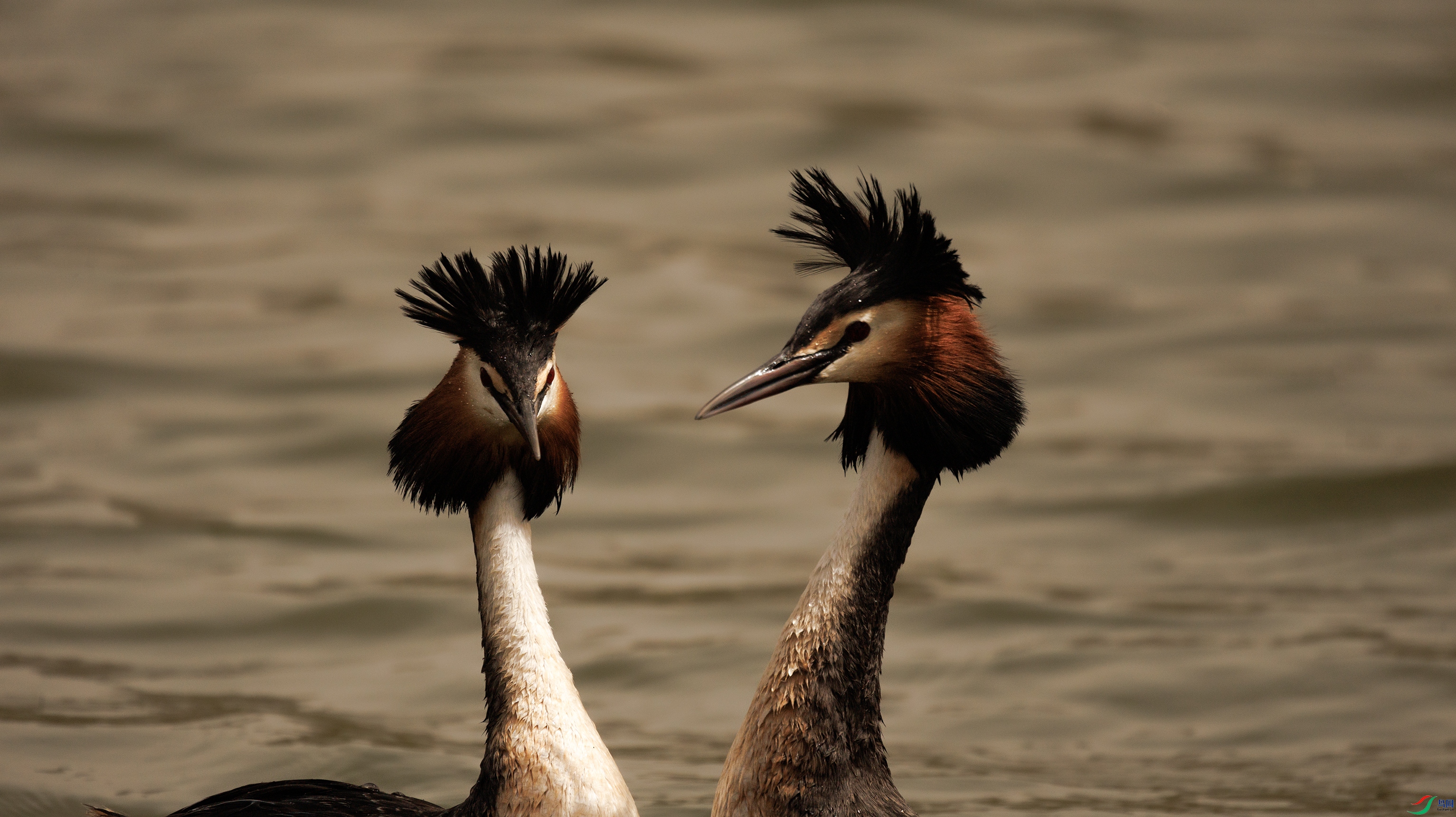 7X5A8419 ����44444.jpg