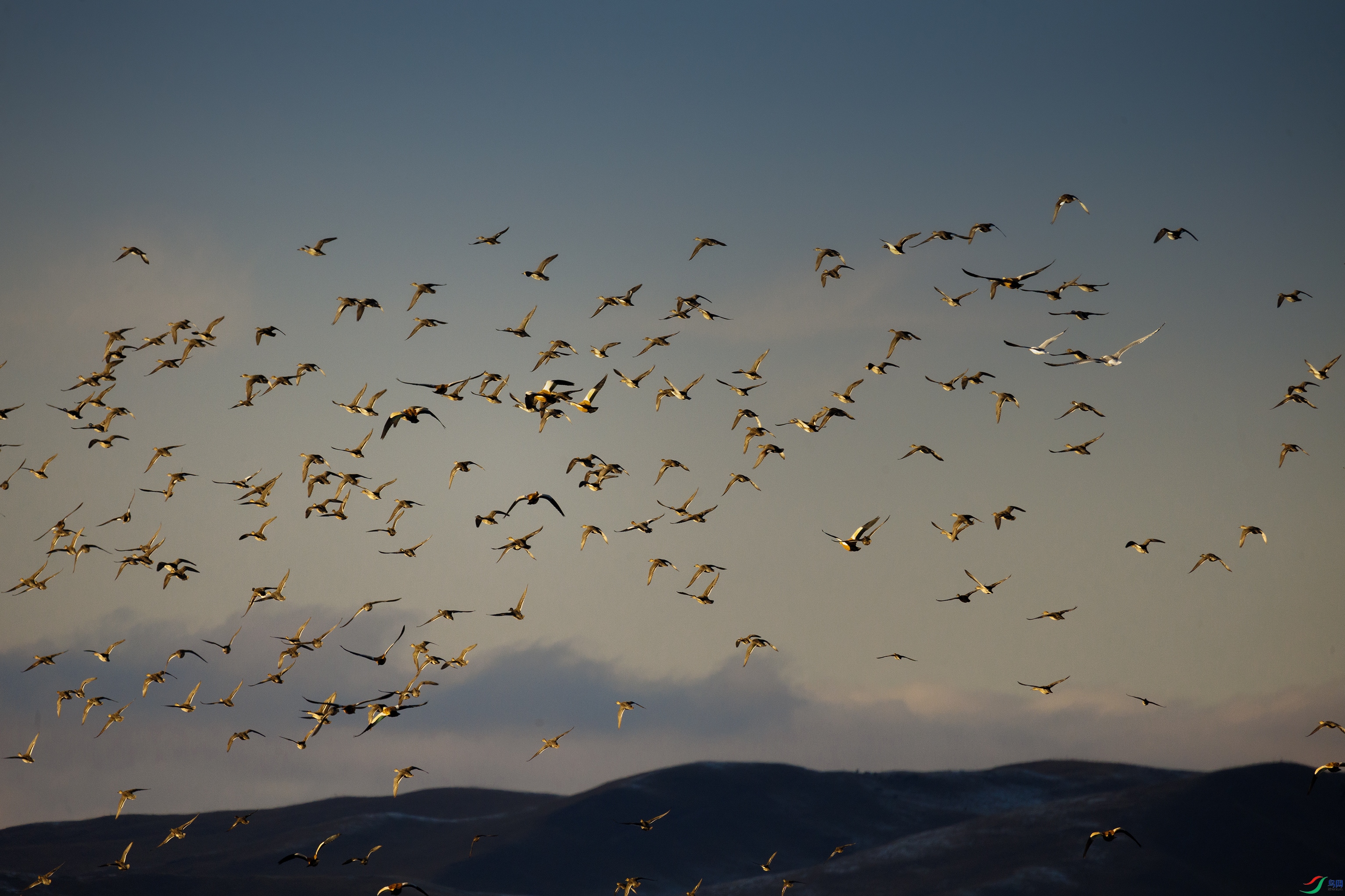 7X5A0399 ����44444.jpg