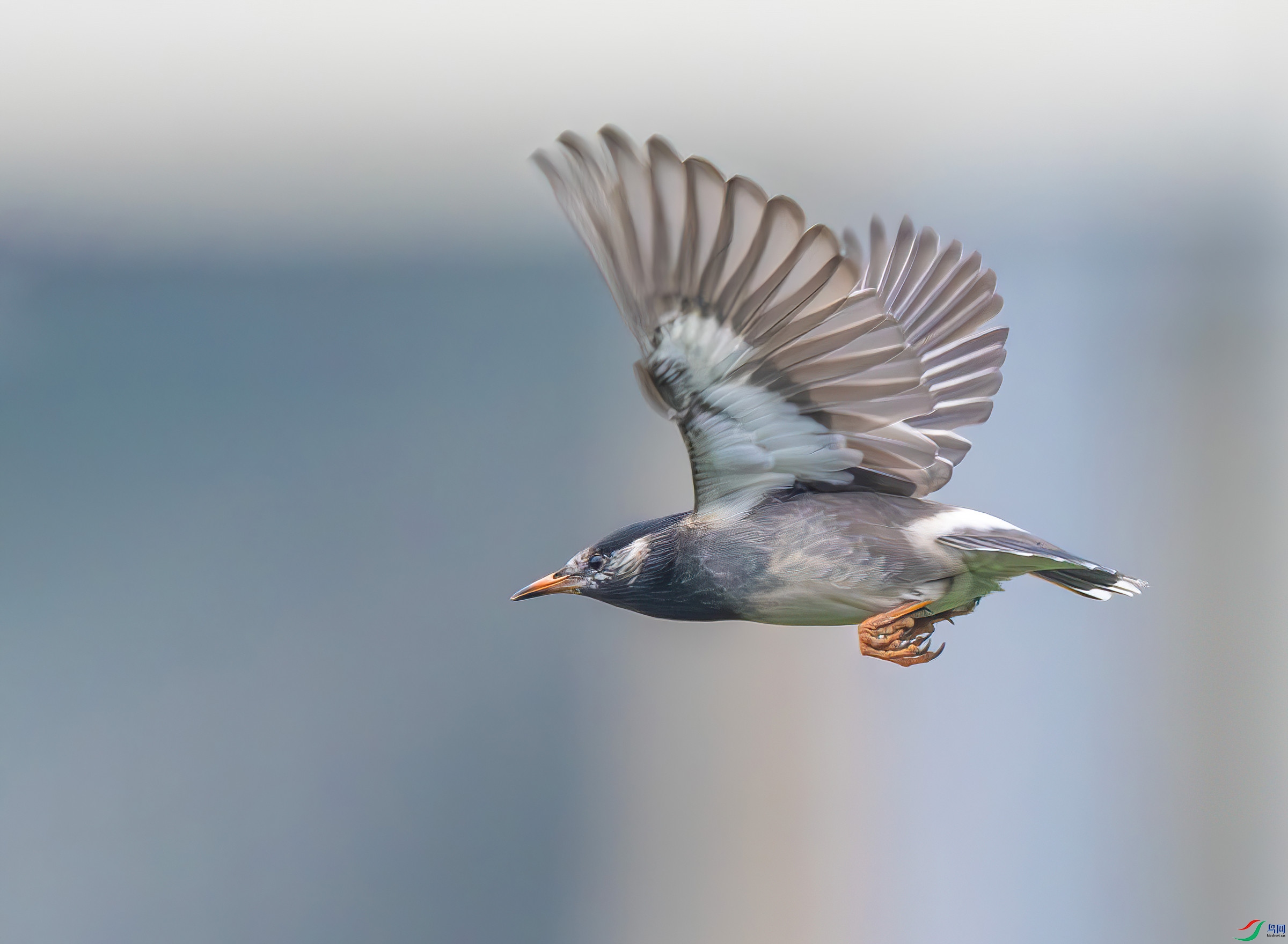 404_1941-Motion.jpg