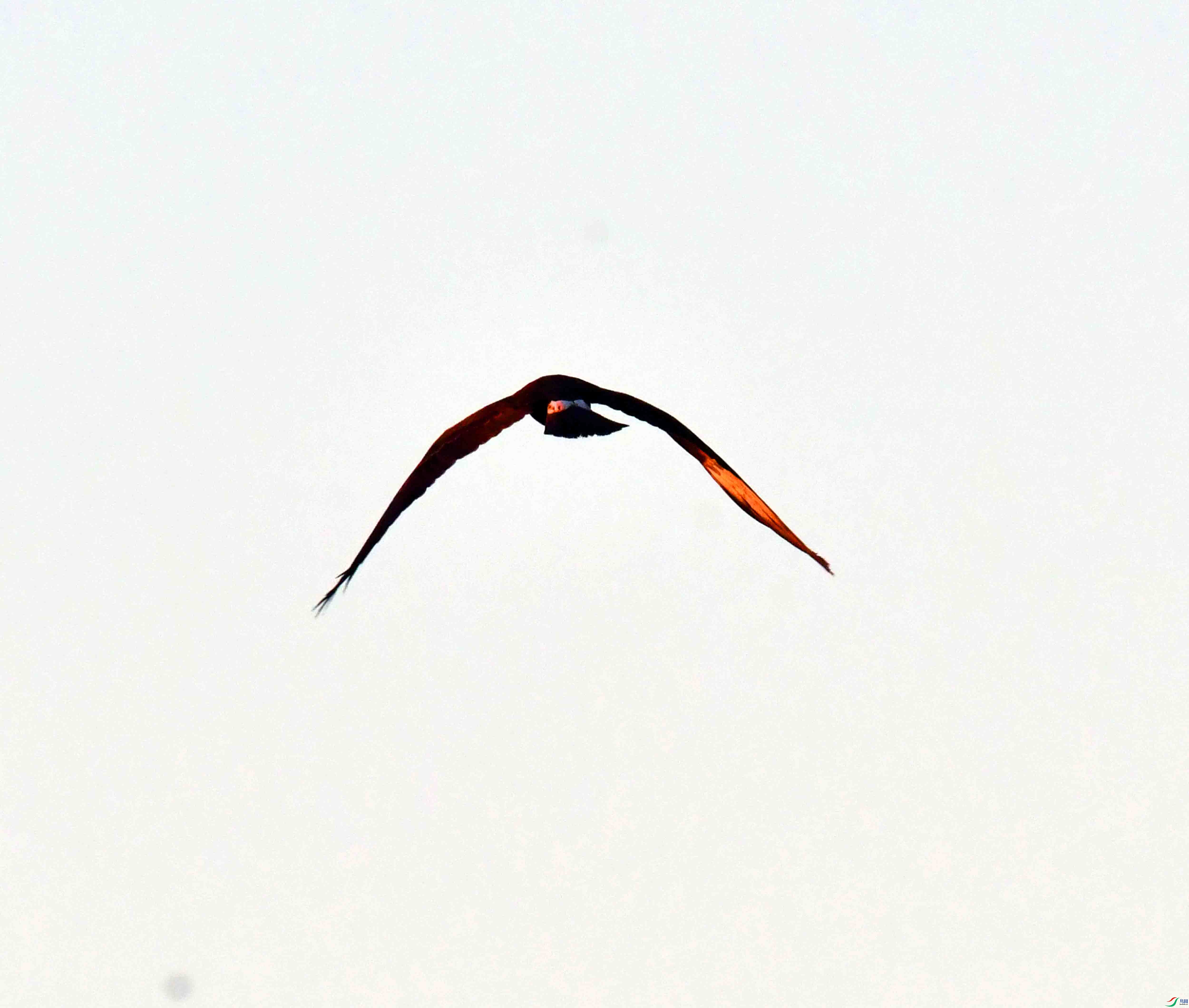DSC_8765.JPG