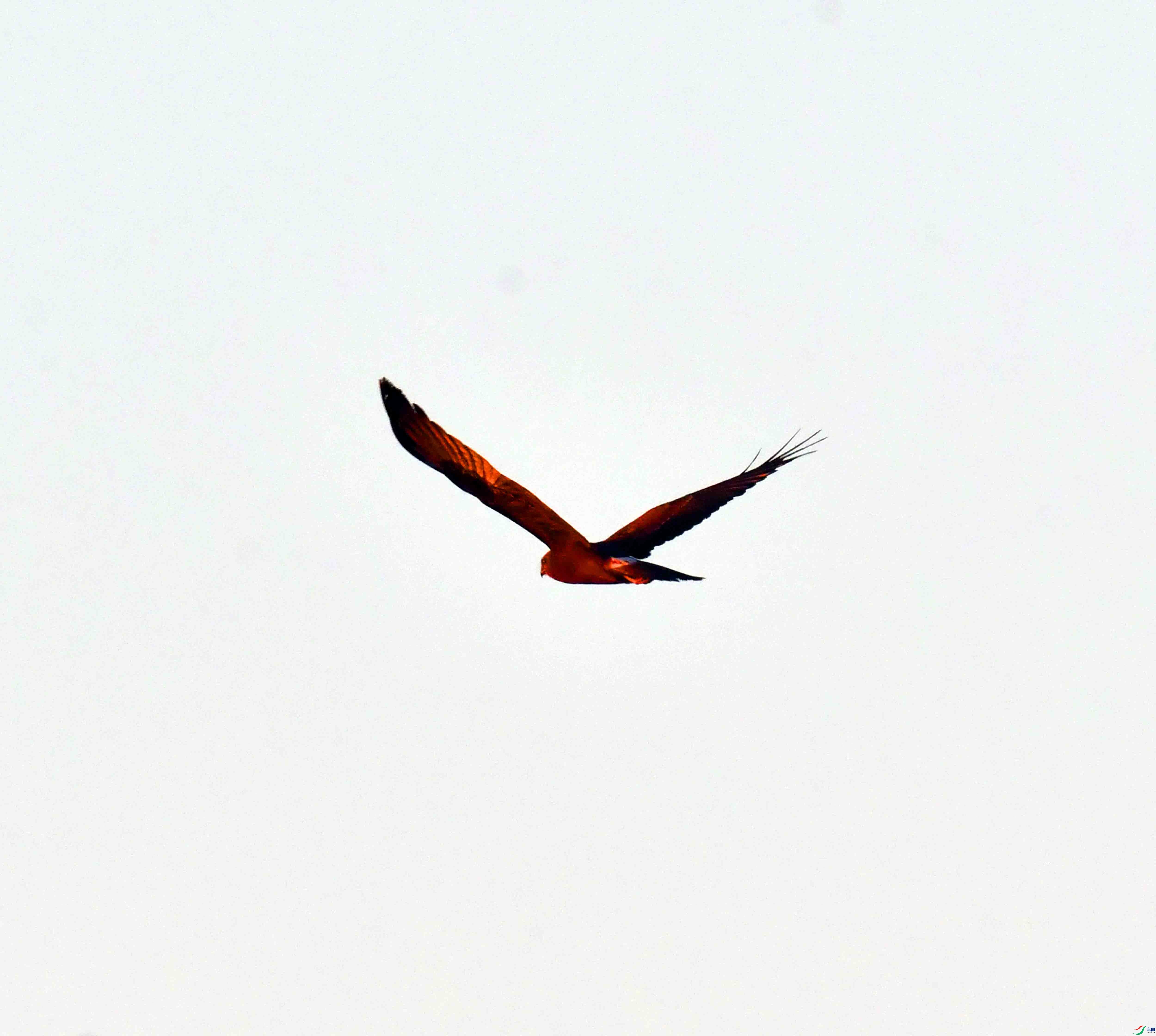 DSC_8773.JPG