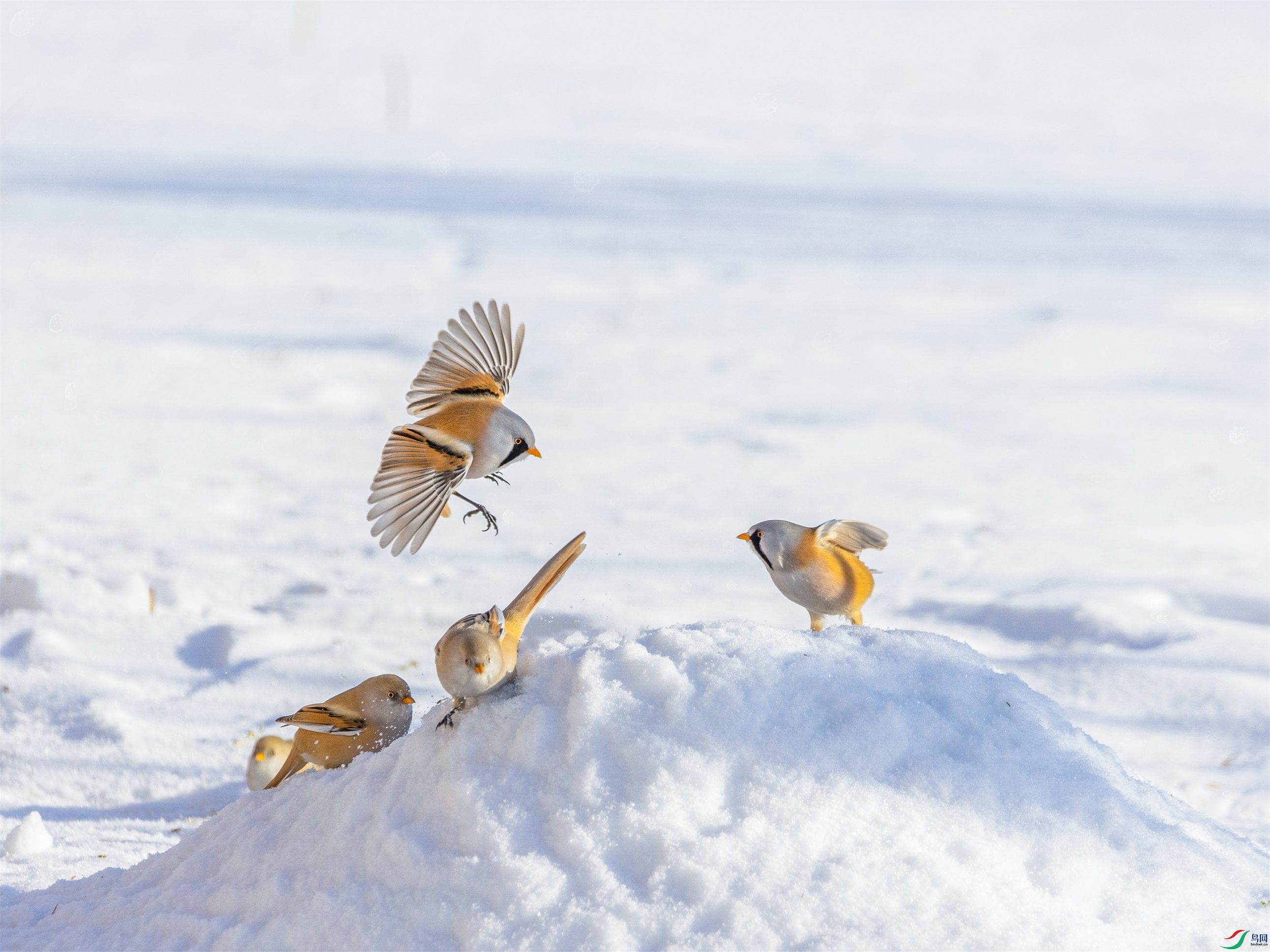 1K3A9997 ����1.jpg