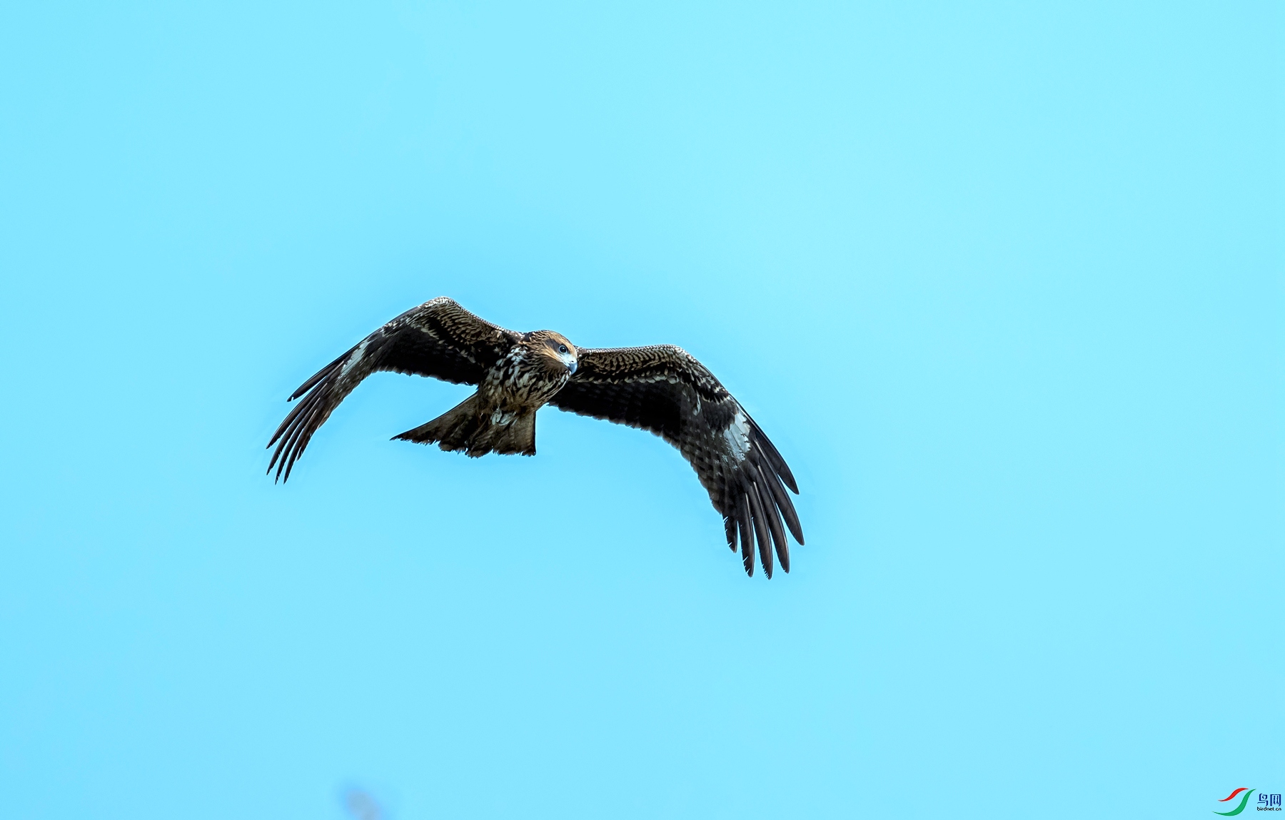 DSC03530_����.jpg