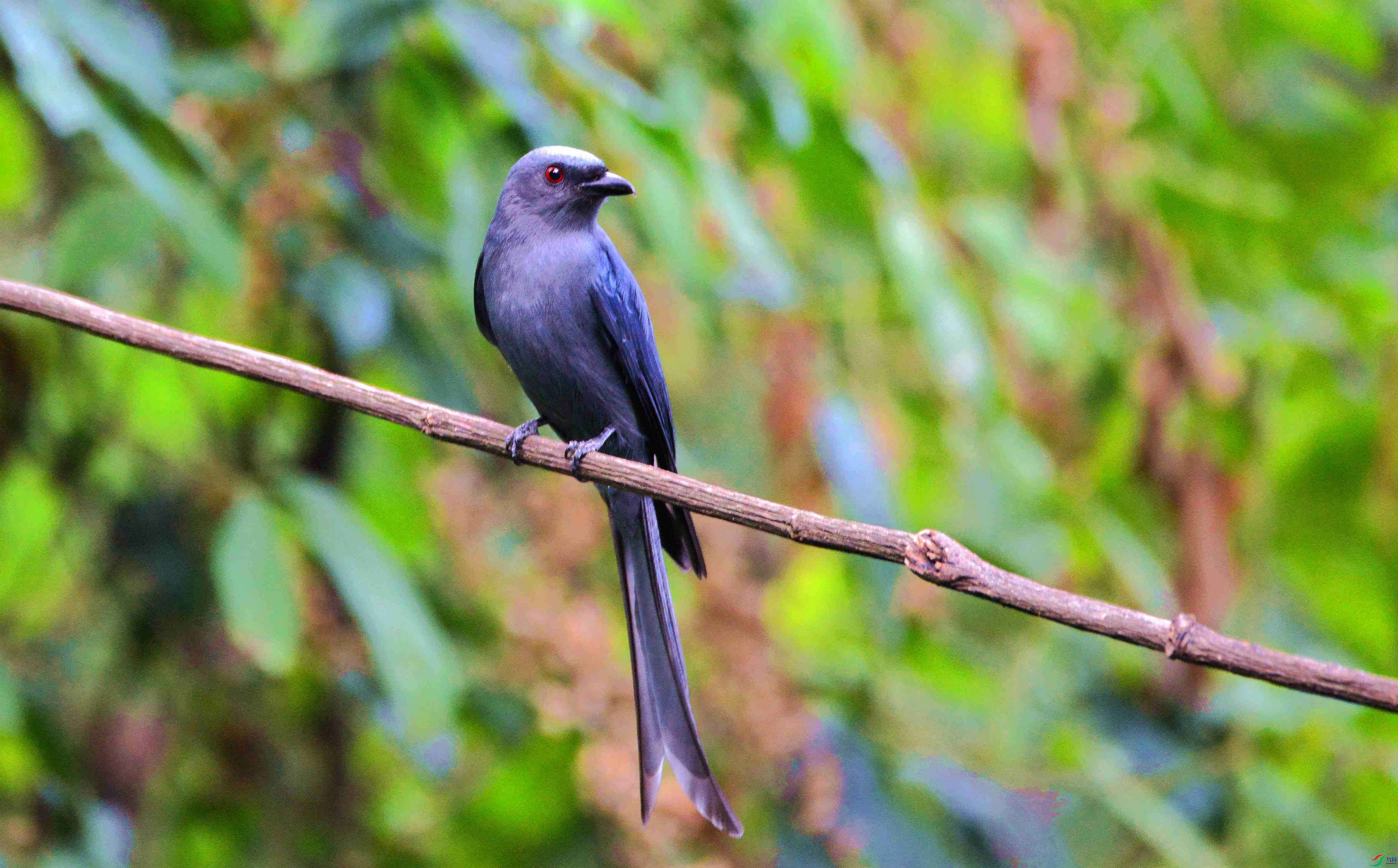 DSC_5436.JPG