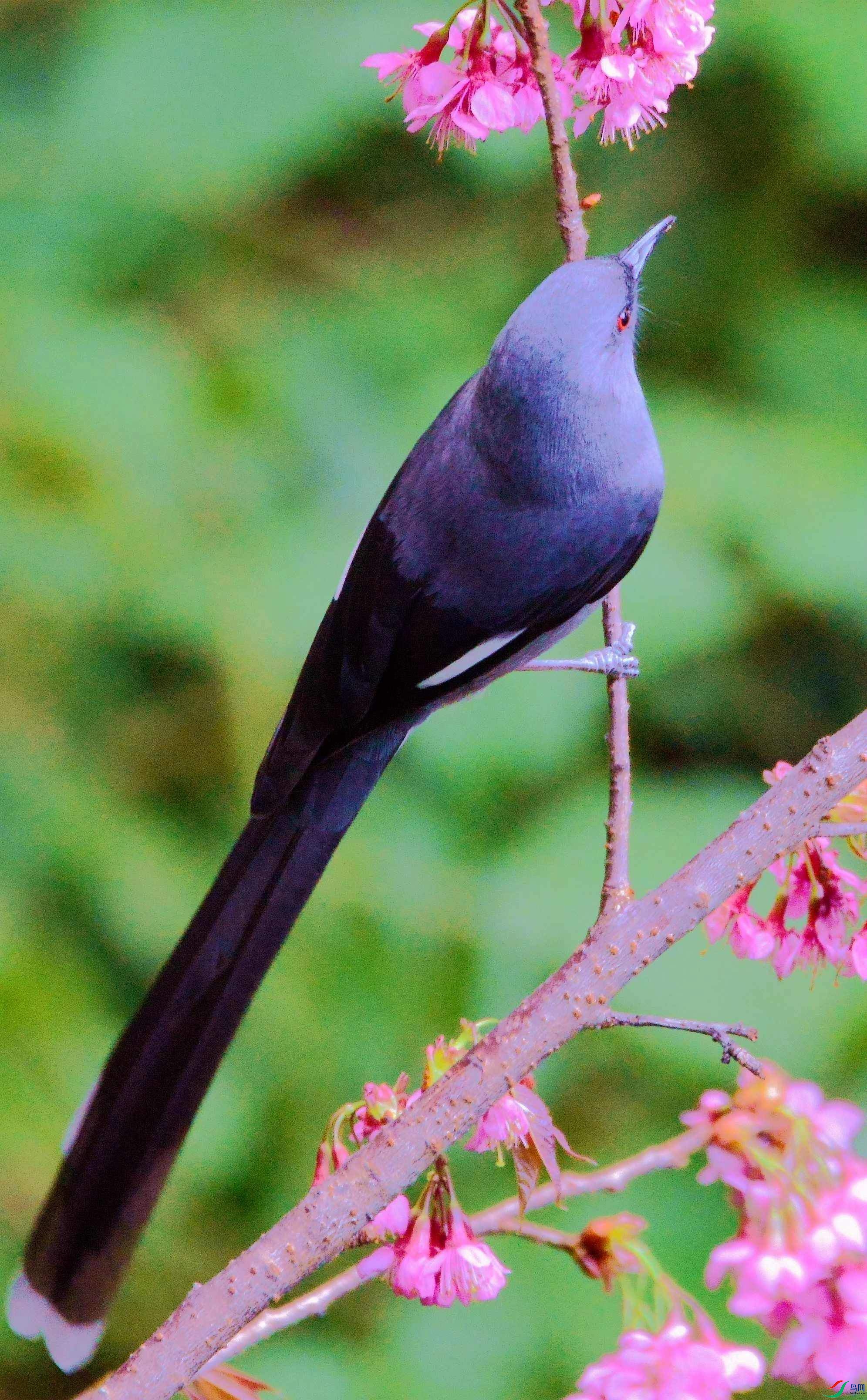DSC_9167.JPG