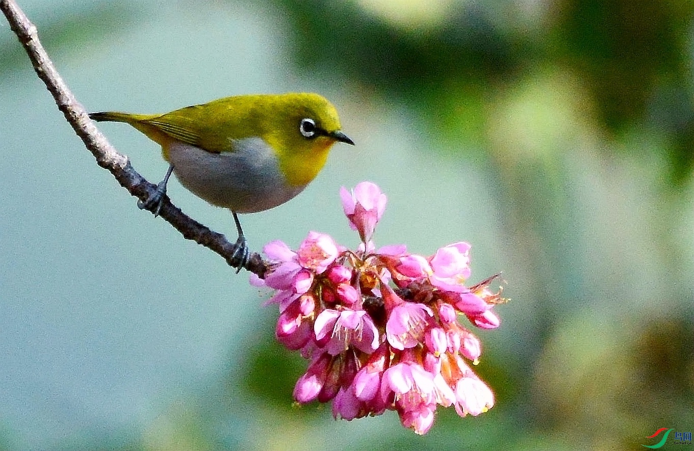 DSC_6472.JPG