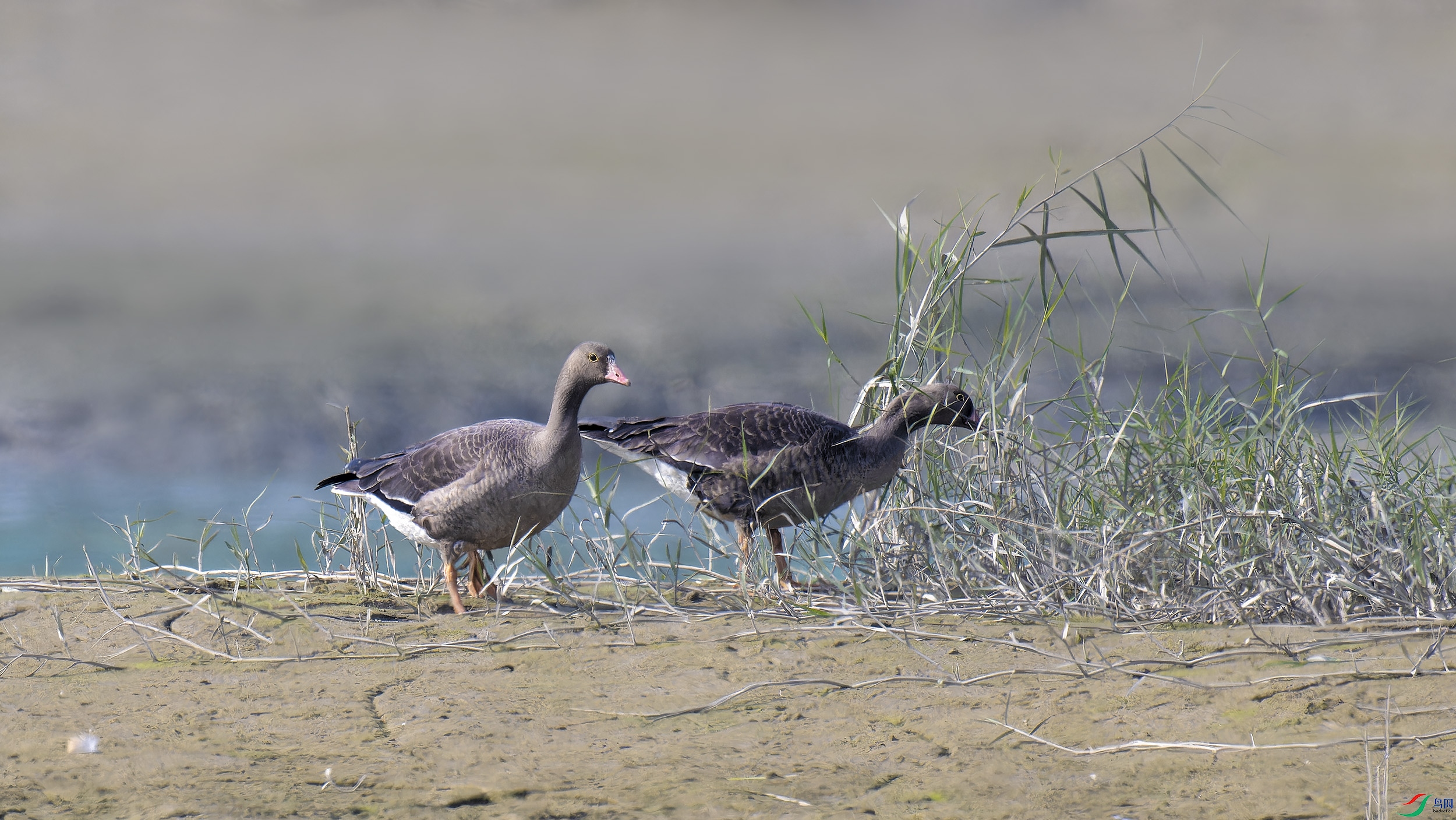 DSC_7031_DxO.jpg