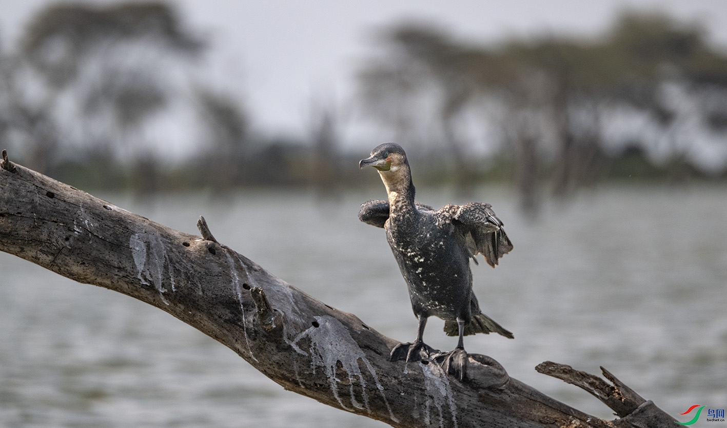 _DSC5136 ����.jpg