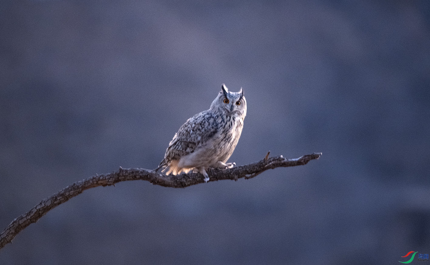 DSC_3741 ����.jpg