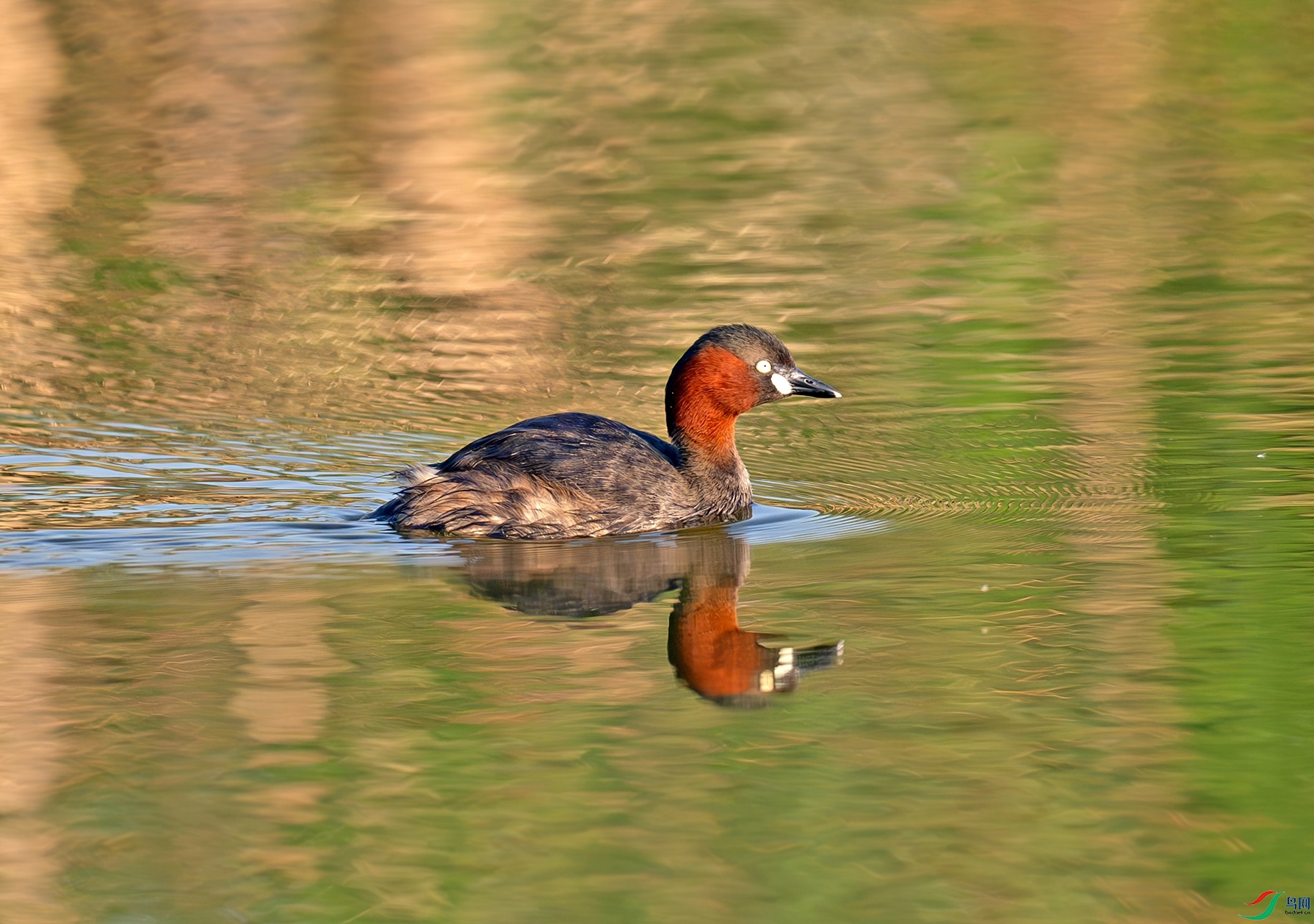 _DSC7657f.jpg