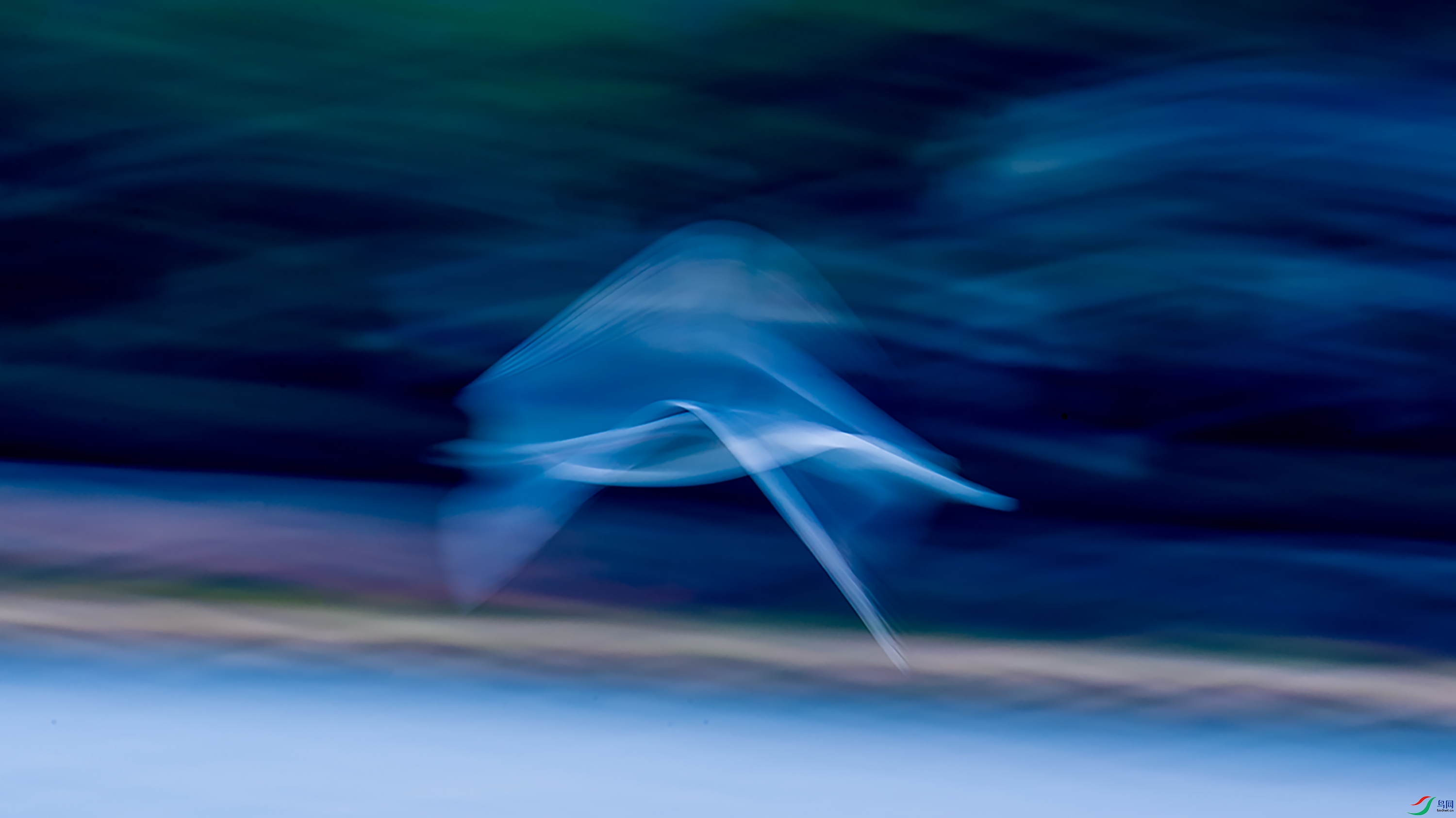 DSC_1167.jpg