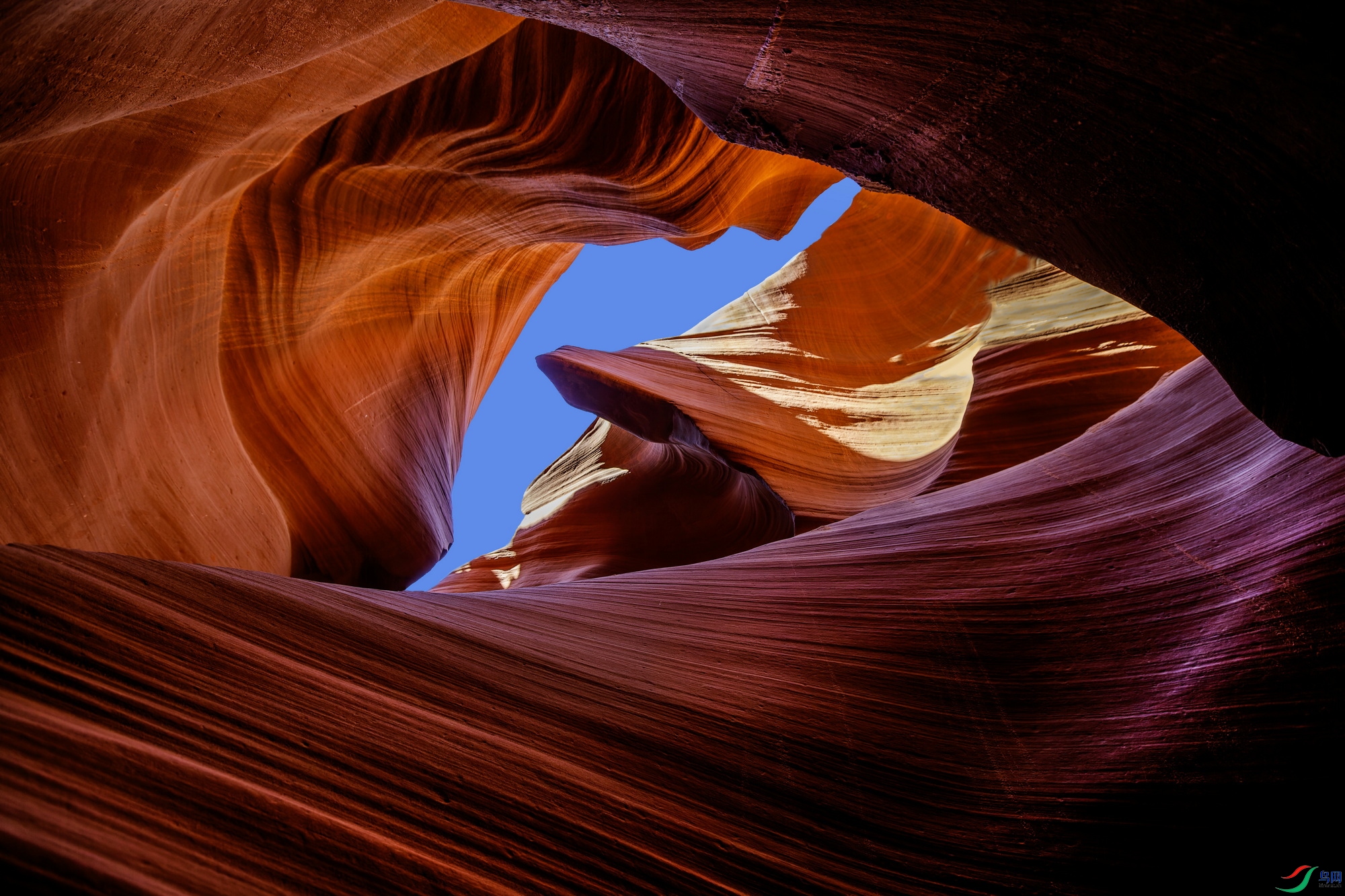 �����Լ� (3934)--1.jpg