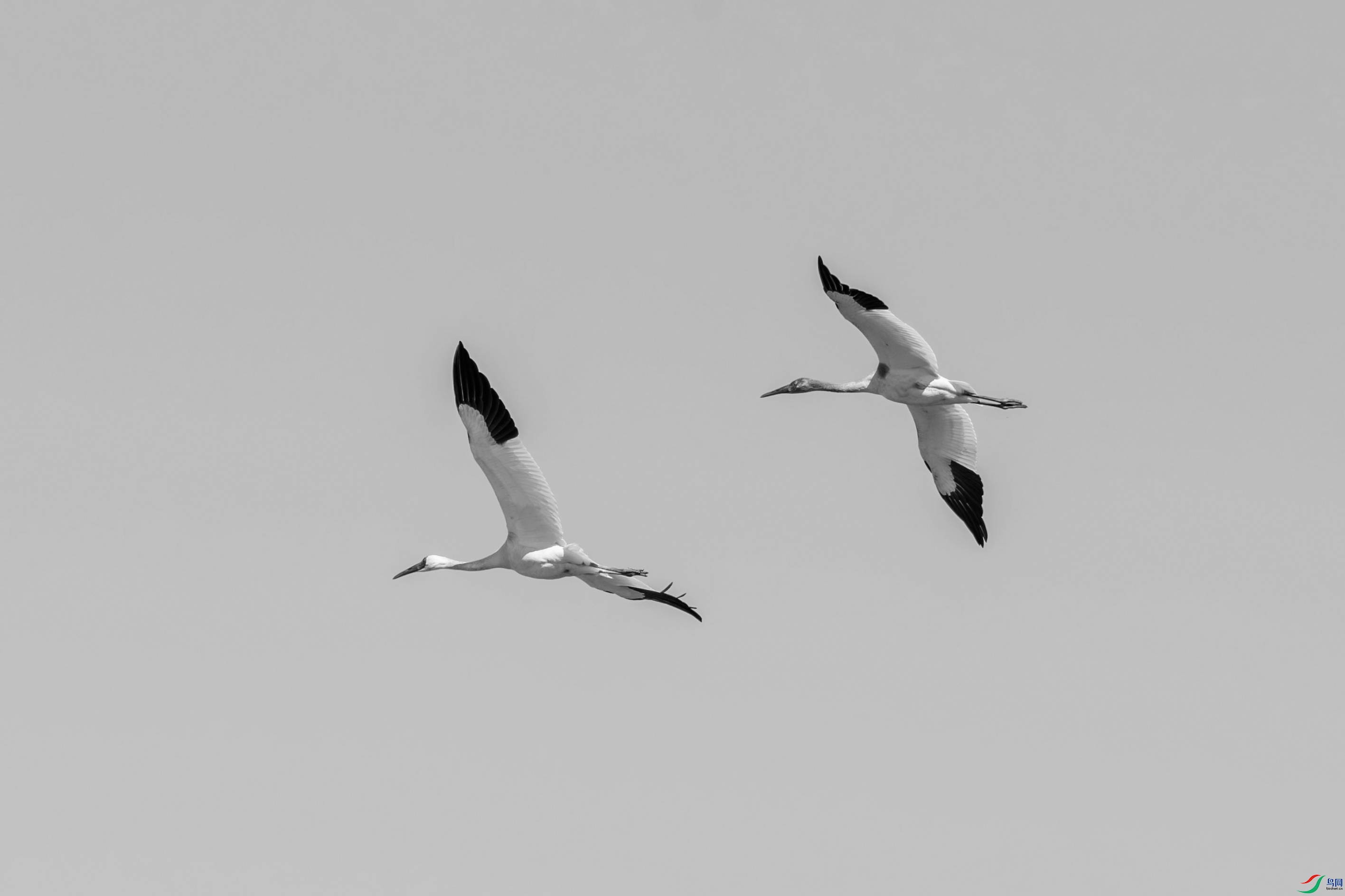 DSC_9138.jpg