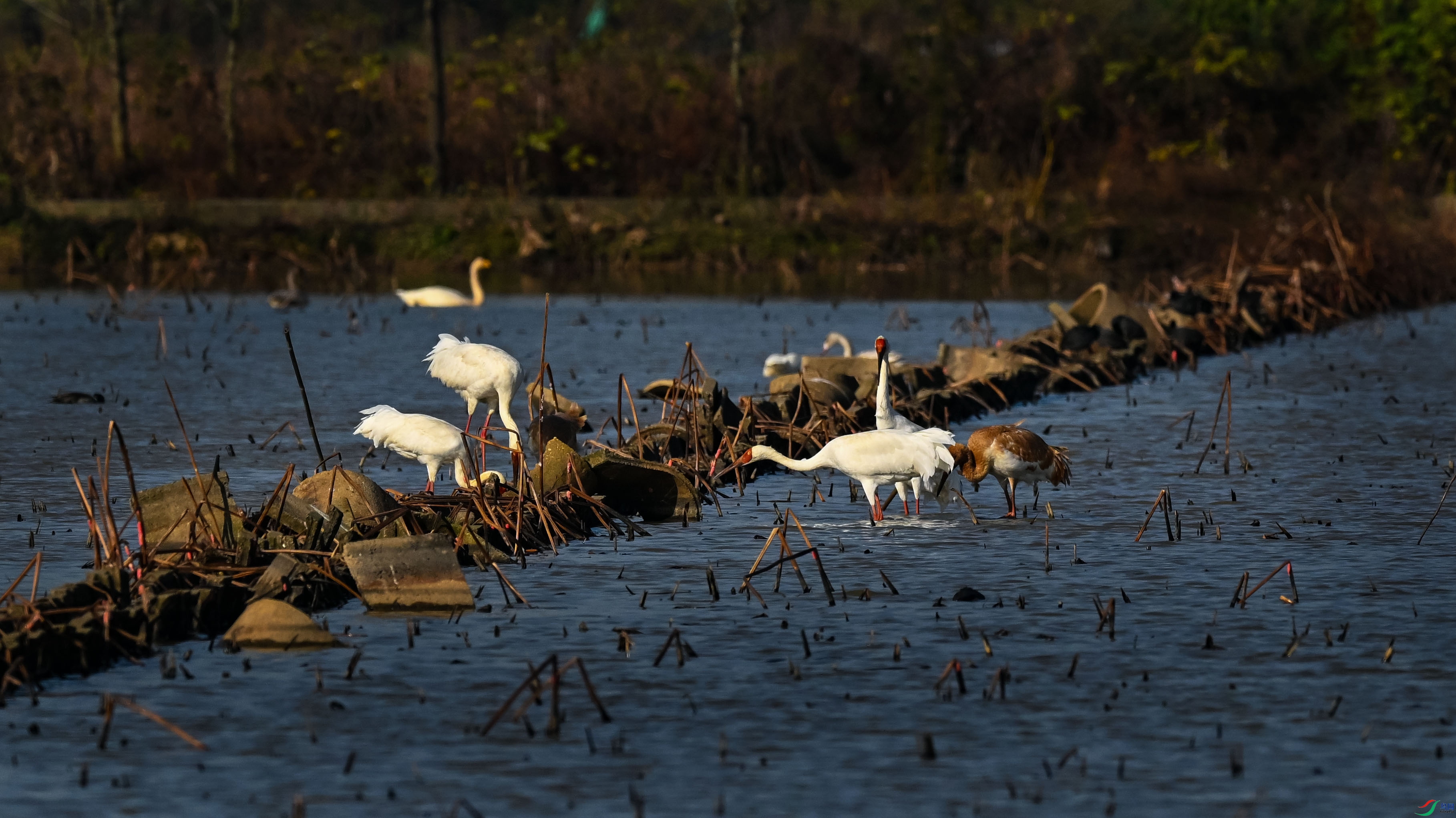 DSC_1483.jpg