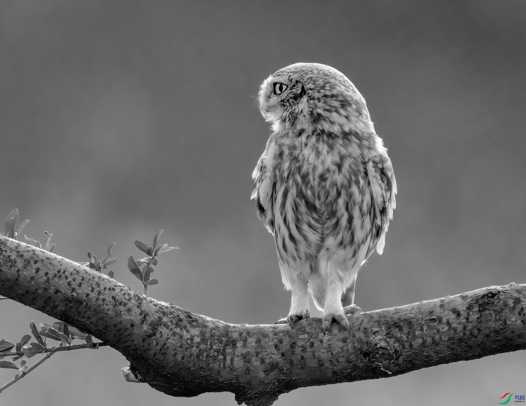 DSC00875 ���� 2_����.jpg