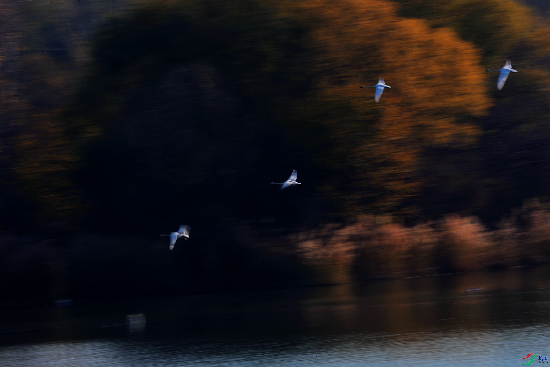 _85A7190_����.jpg