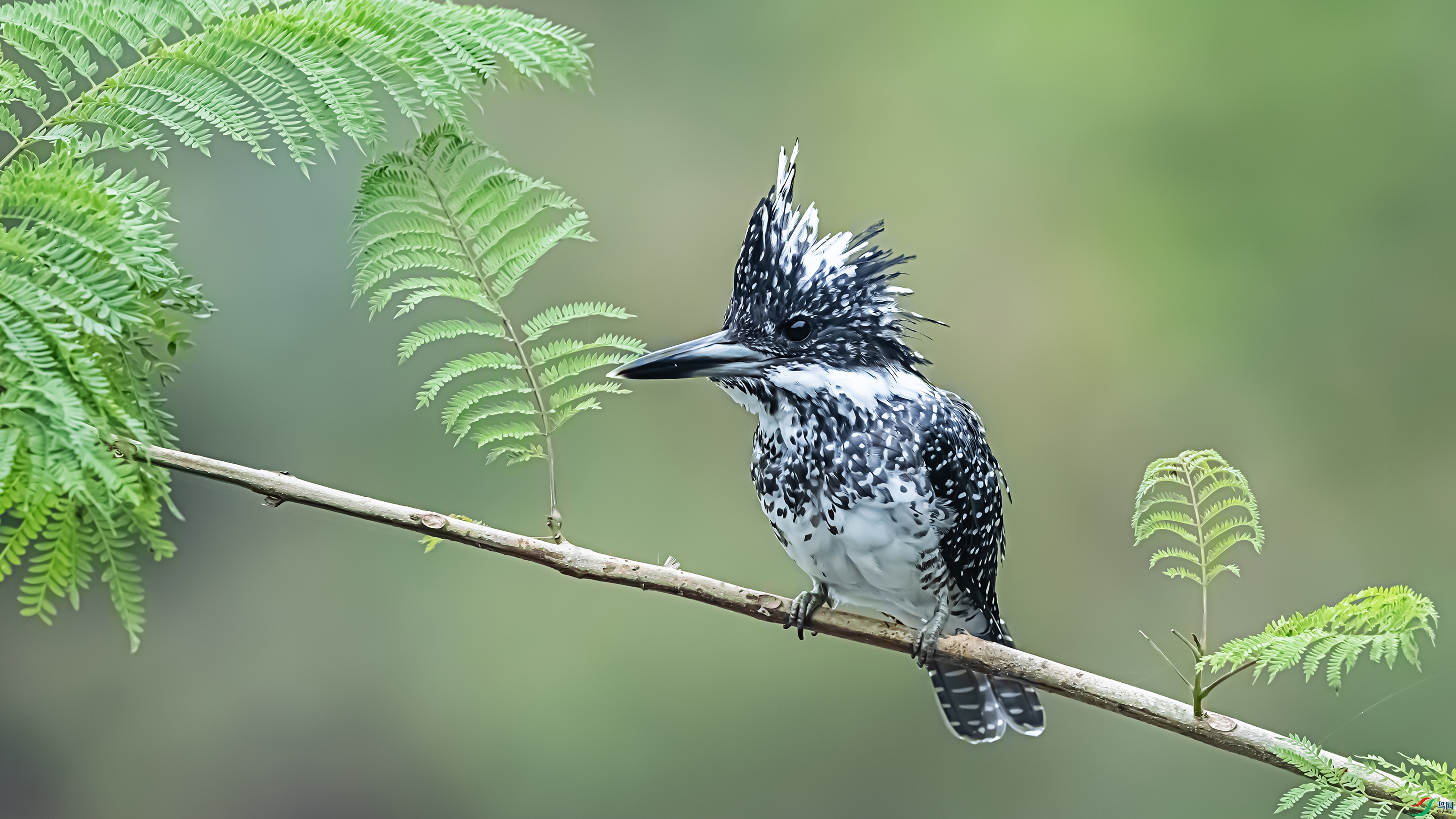 8219-1 ����.jpg