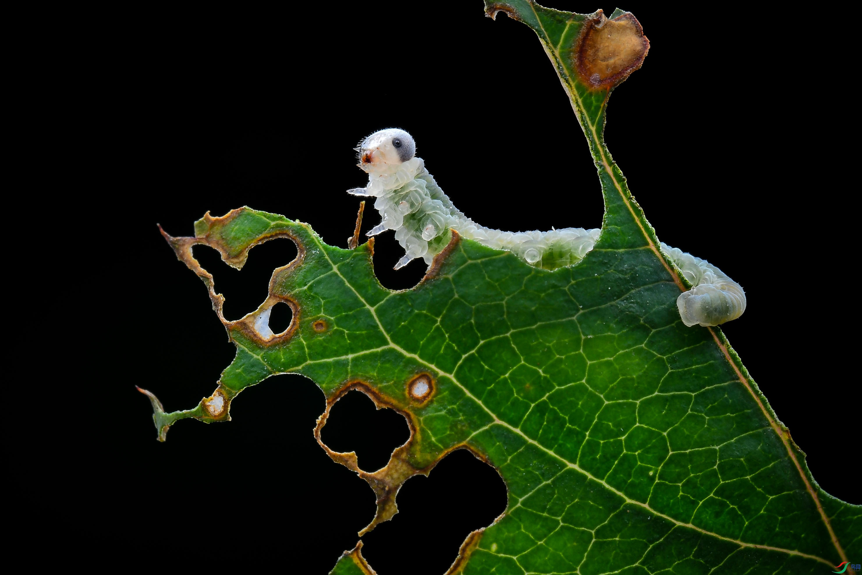 DSC_3427-0.jpg