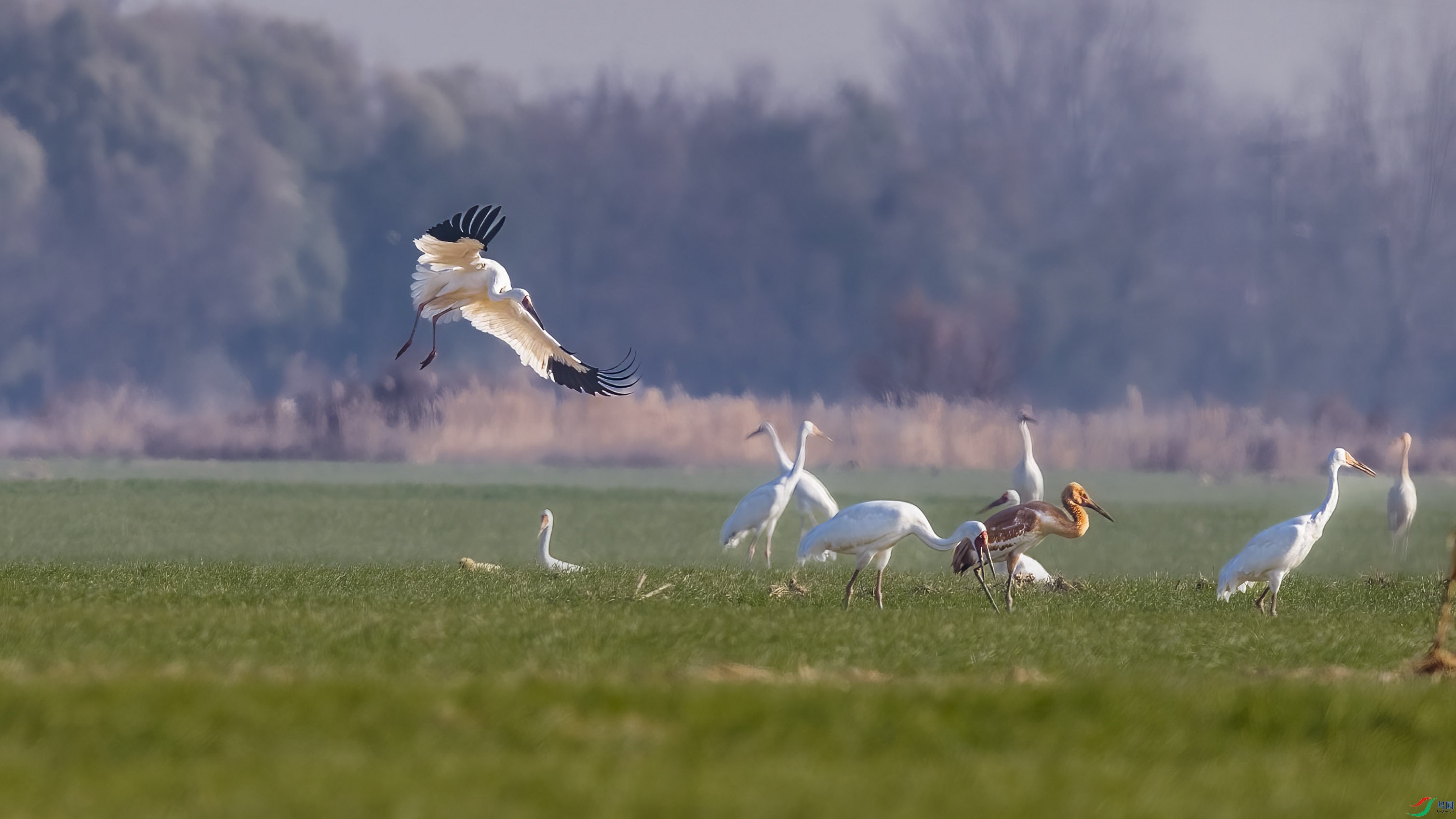 DSC_8920 ����-B ����.jpg