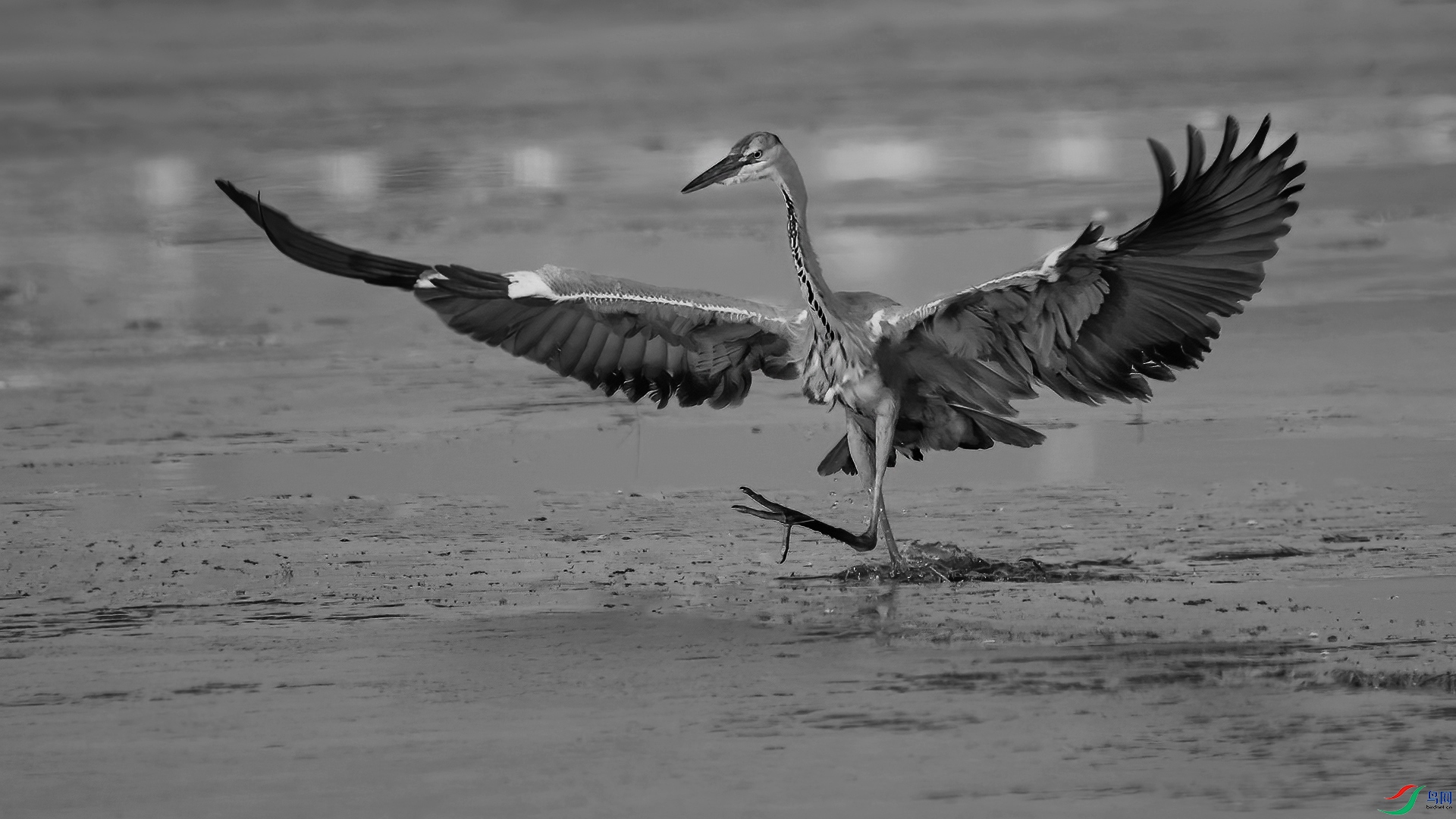 DSC_1155-20230111�ü� .jpg