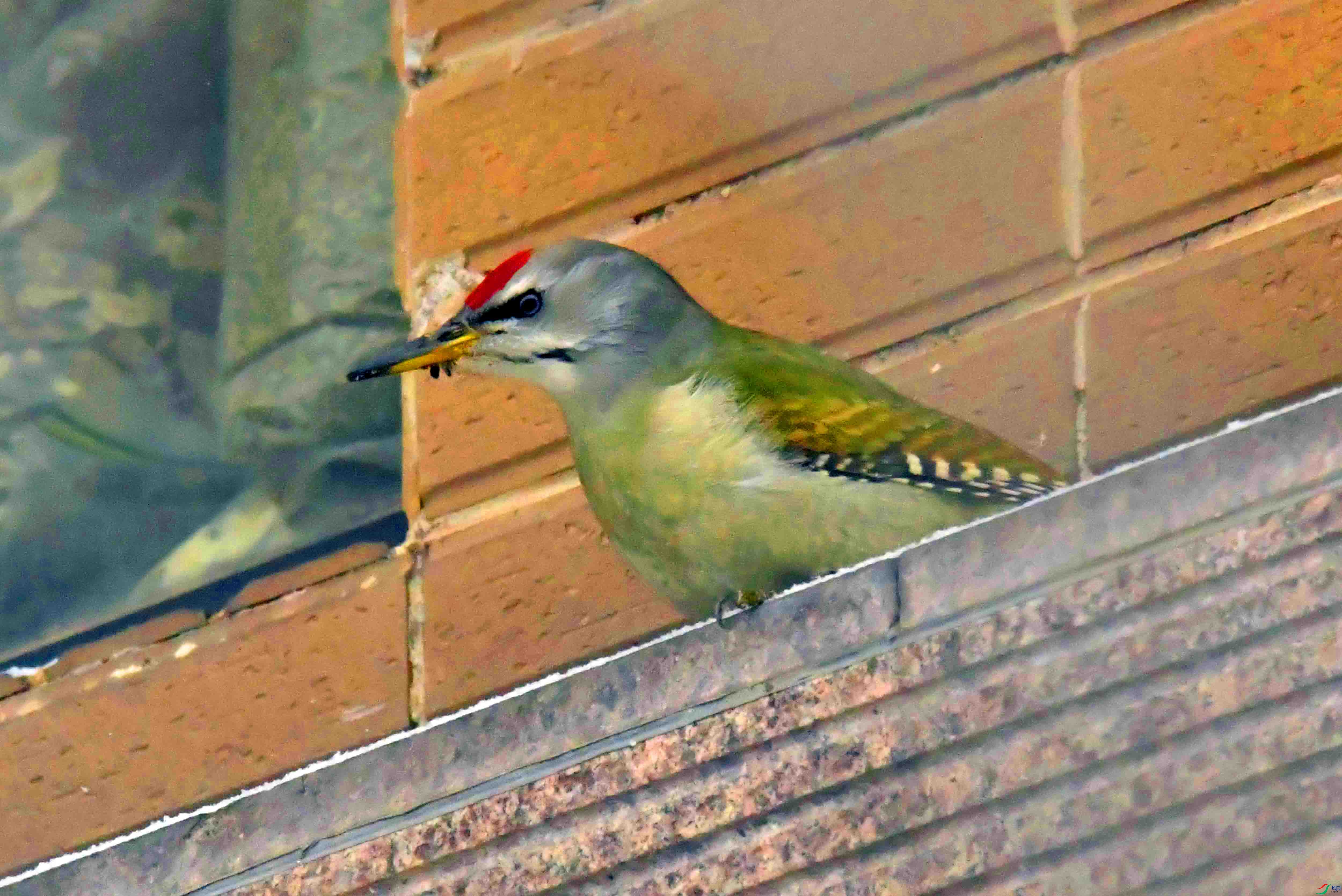 DSC_0626.JPG