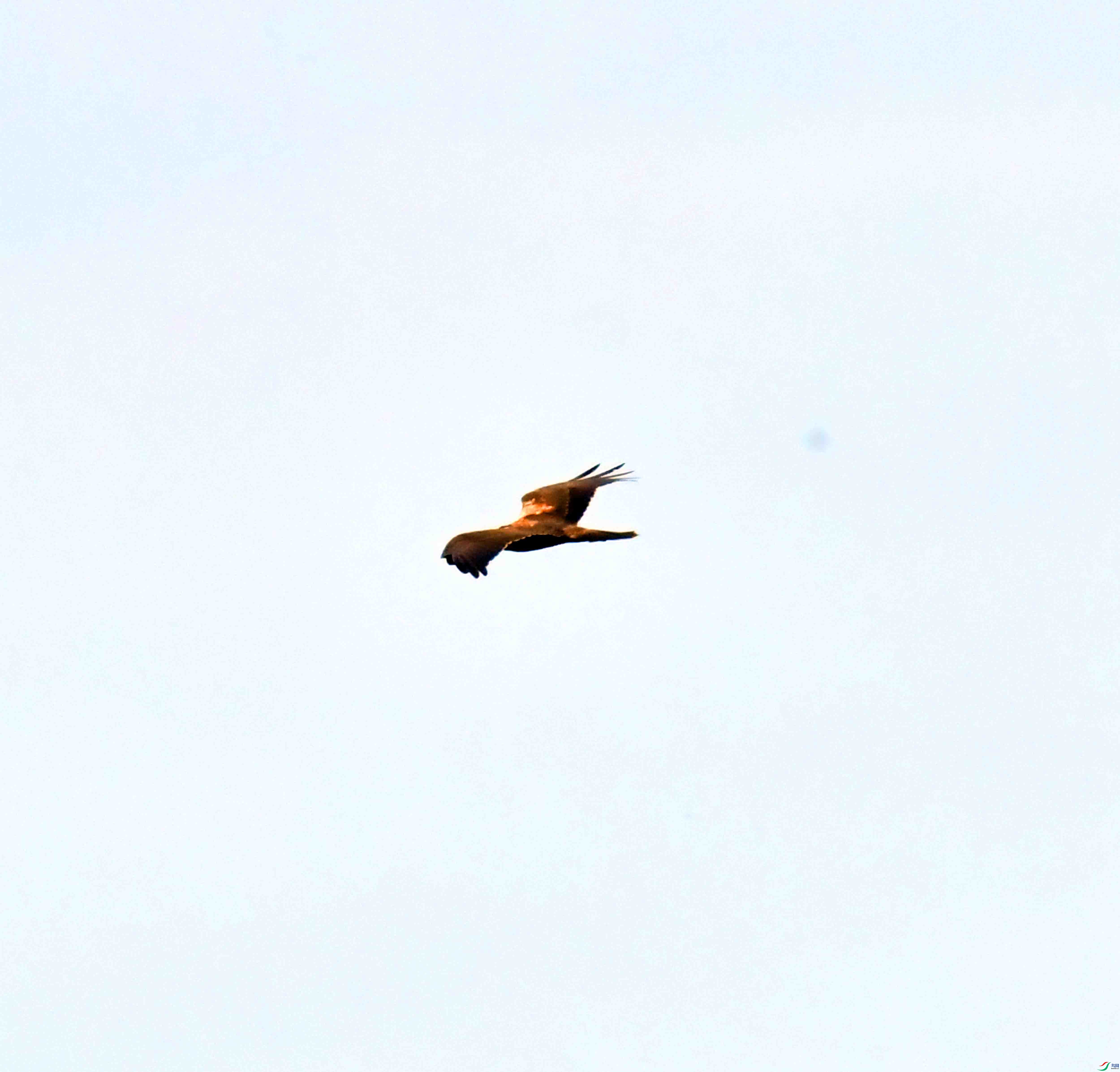 DSC_7870.JPG