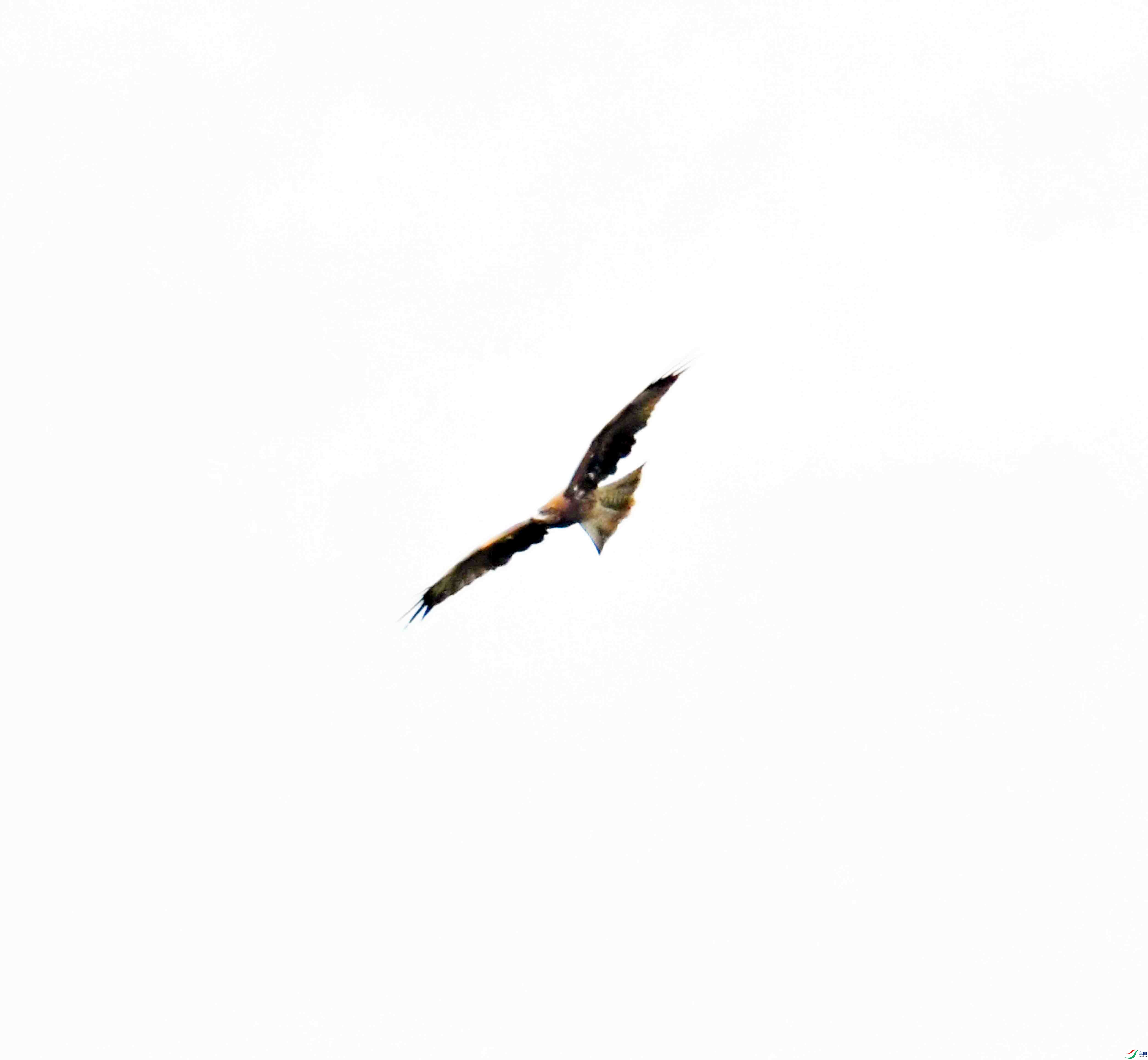 DSC_7948.JPG