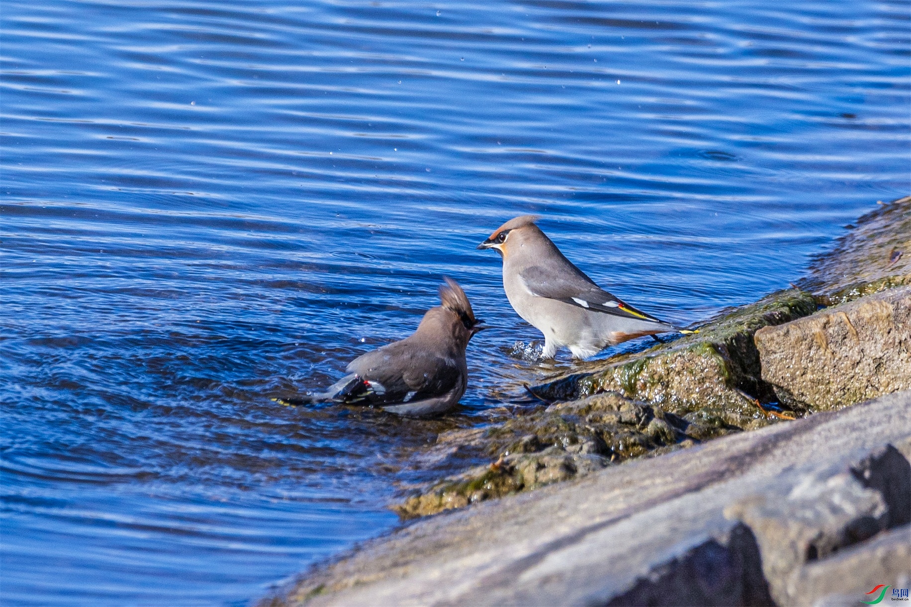 1K3A0015 ����1.jpg