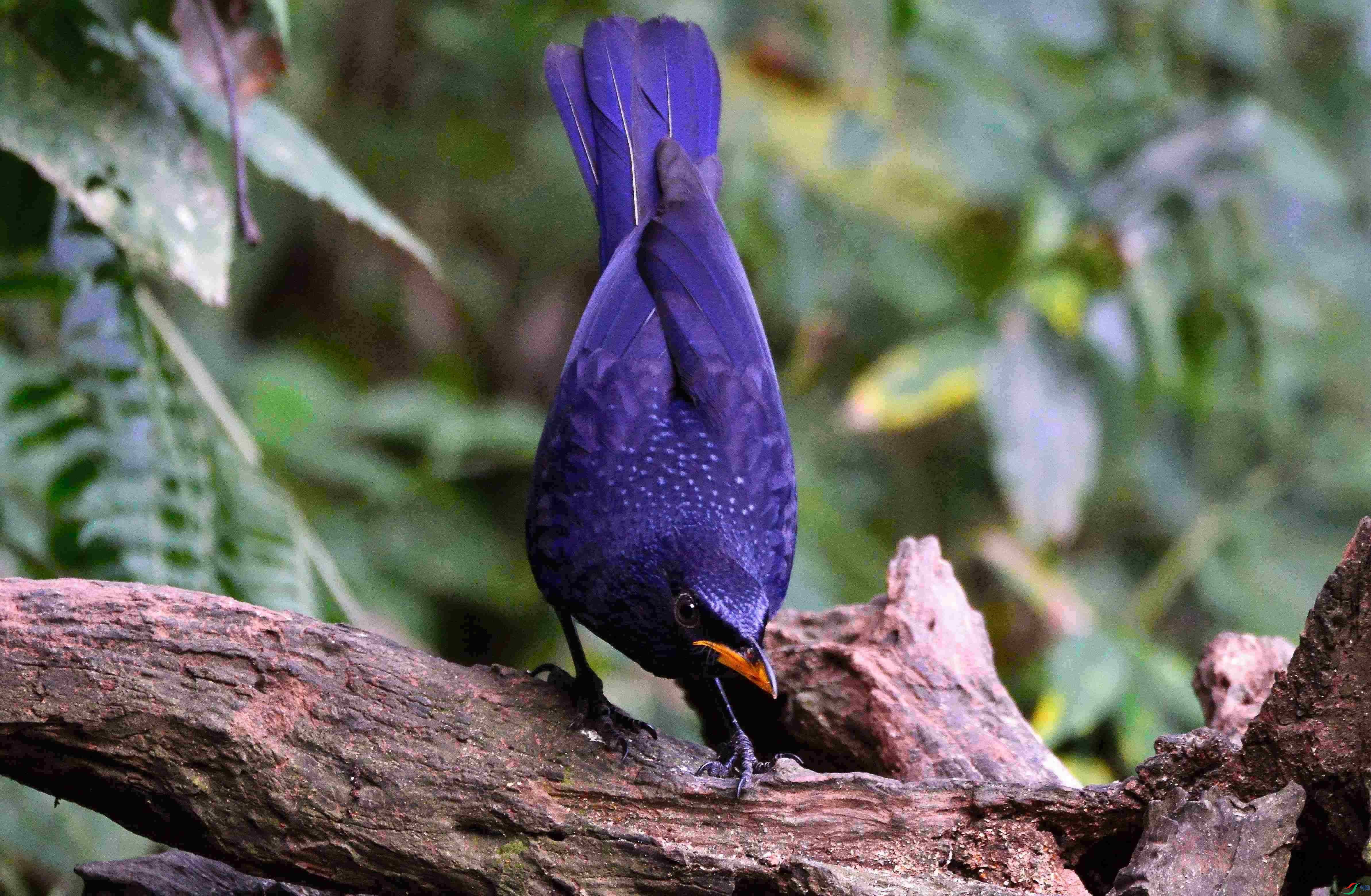 DSC_8206.JPG
