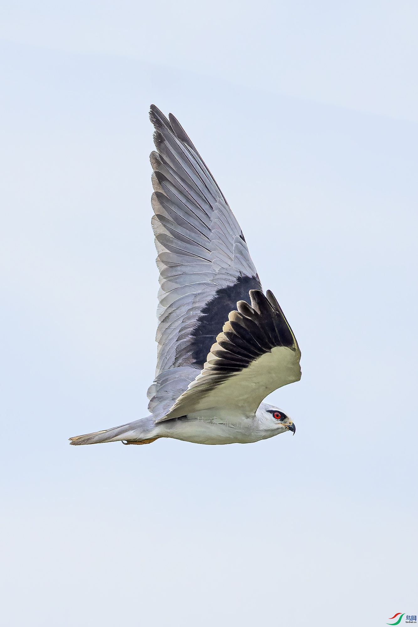 _97A1318-CR3 copy.jpg