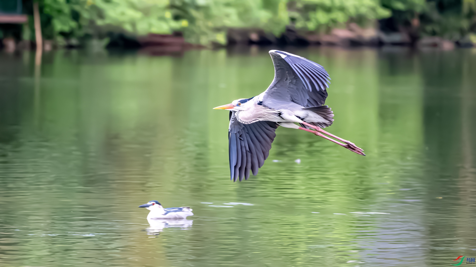 DSC_2421.jpg